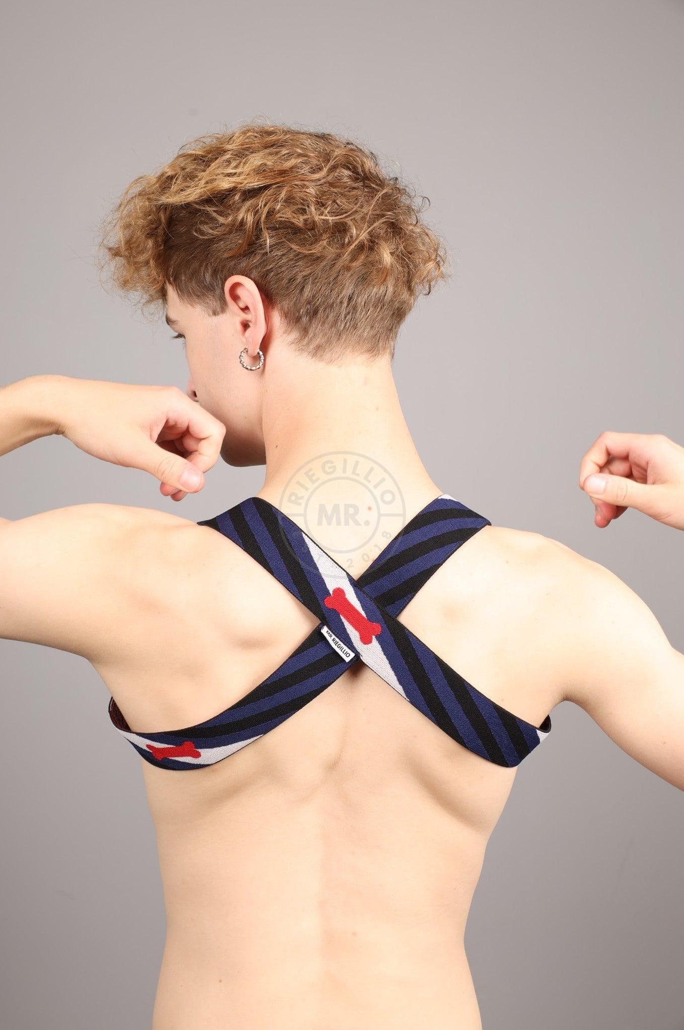 Elastic Harness - PUPPY Flag at MR. Riegillio