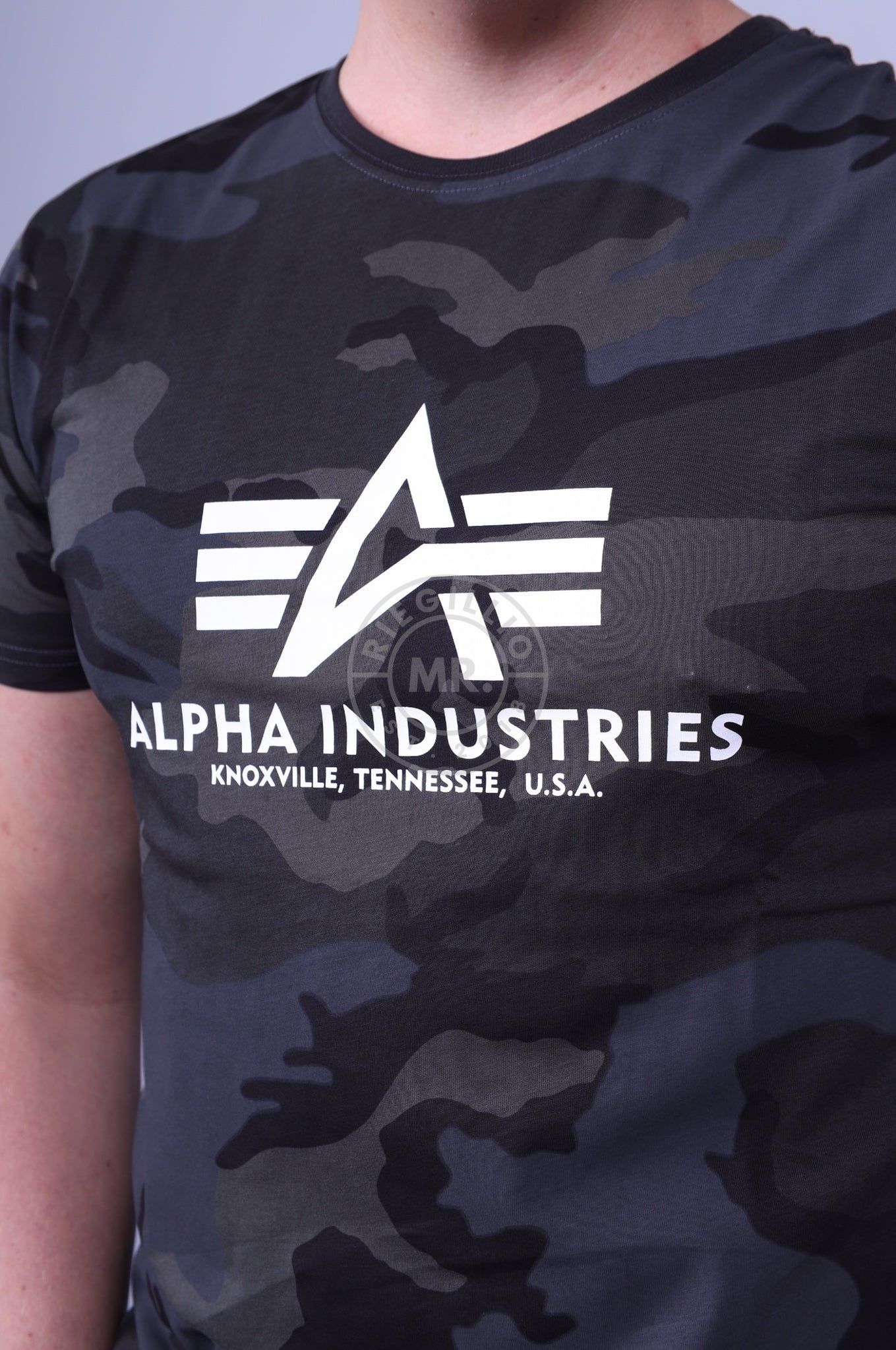 Alpha Industries Basic T-Shirt Black Camo-at MR. Riegillio