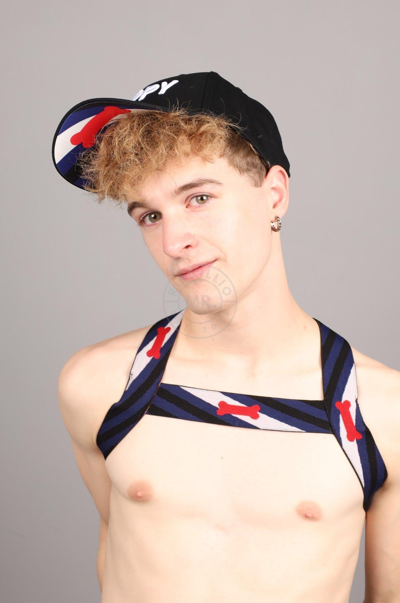 Puppy Pride Cap at MR. Riegillio