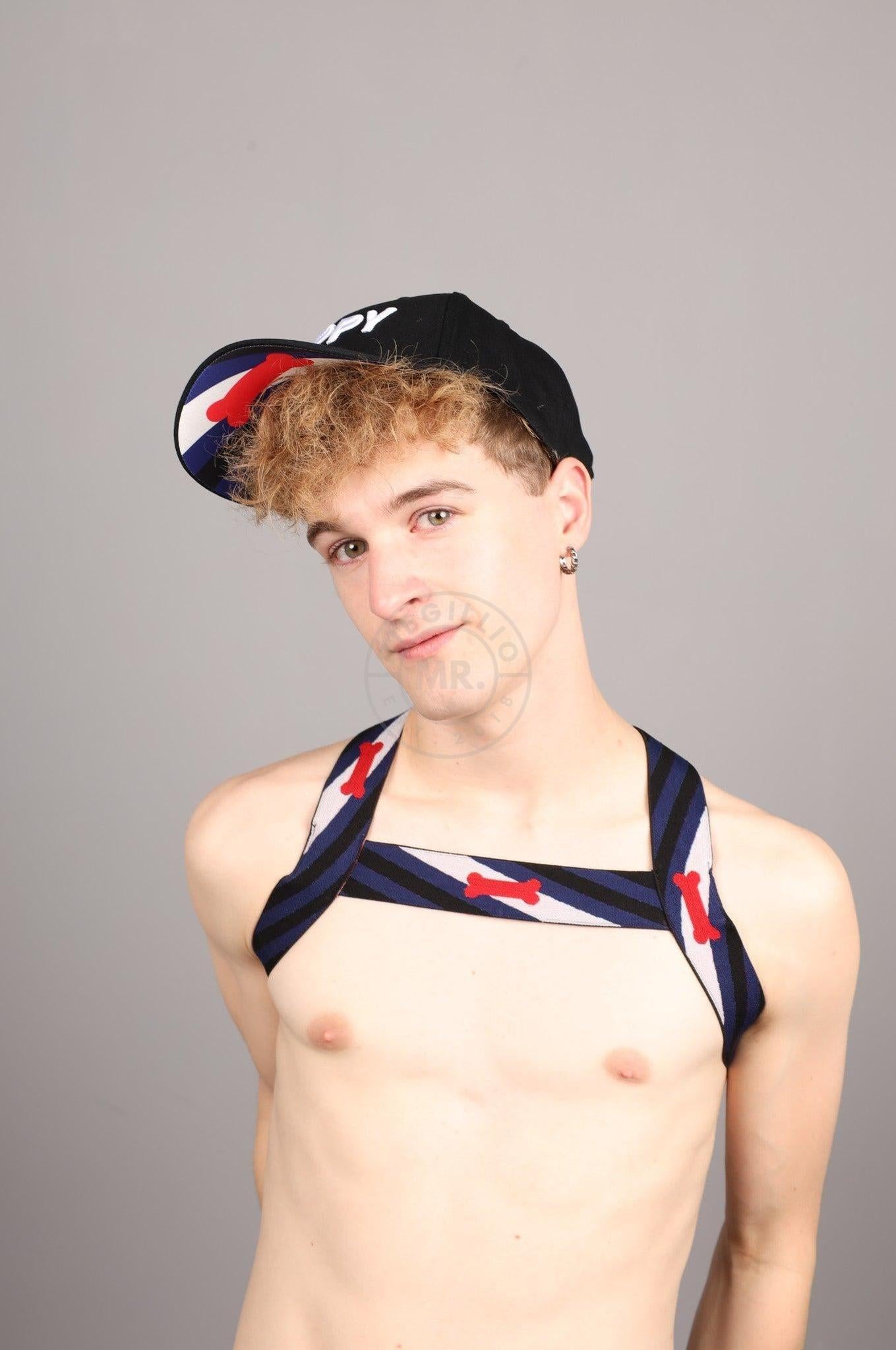 Elastic Harness - PUPPY Flag at MR. Riegillio