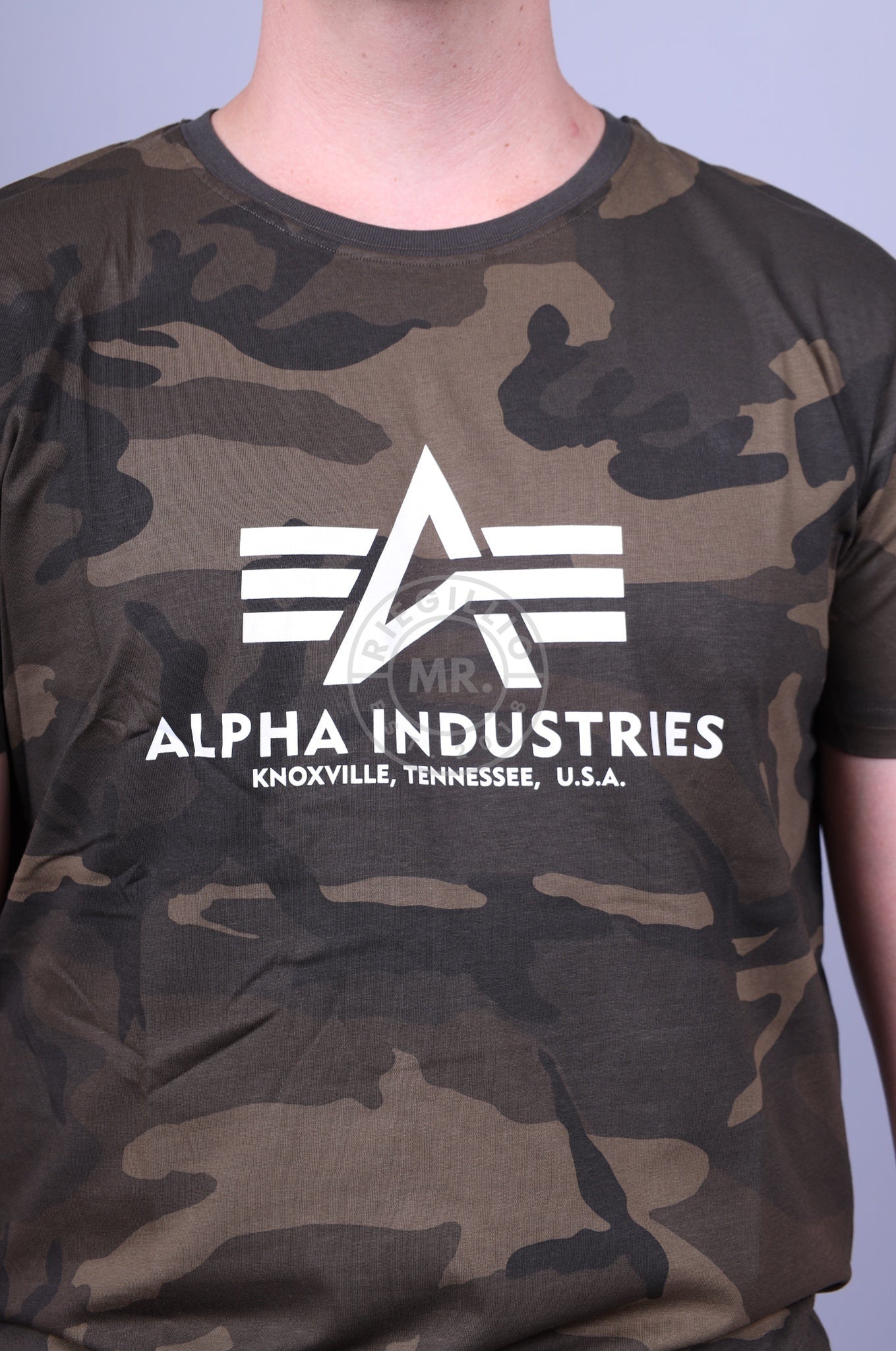 Alpha Industries Basic T-Shirt Olive Camo-at MR. Riegillio