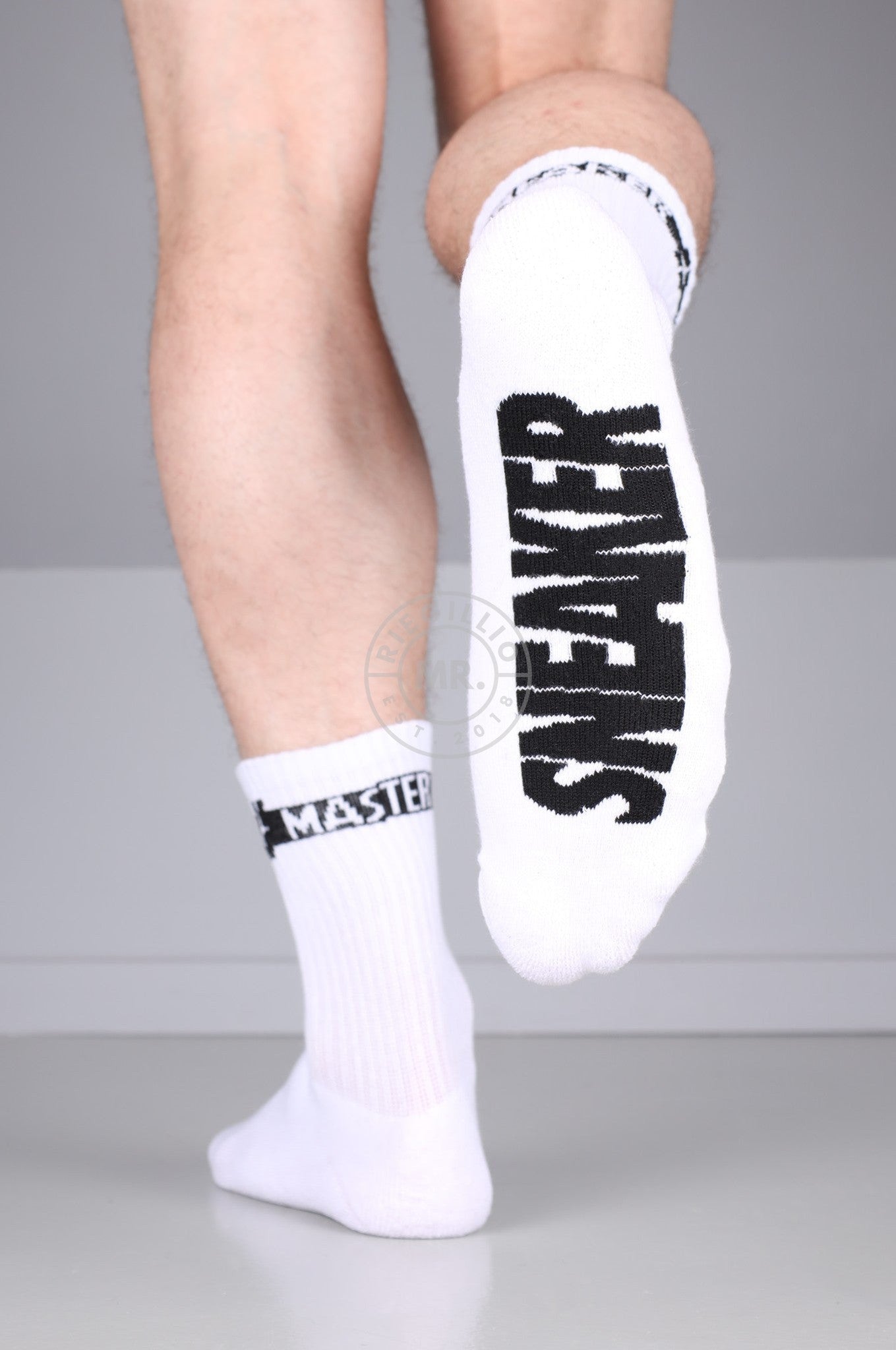 SNKRFTSH SNEAKER MASTER Socks at MR. Riegillio