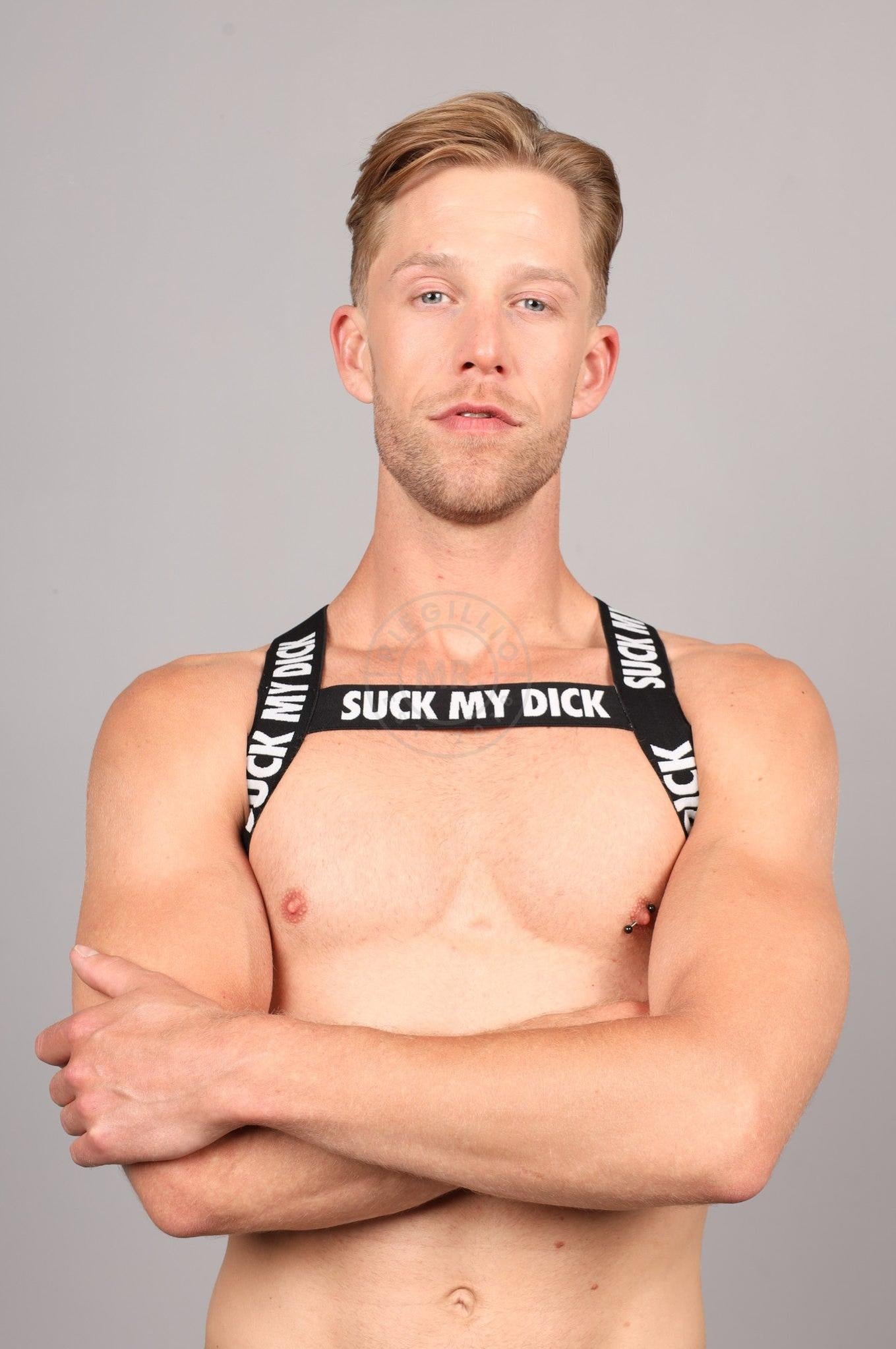 Elastic Harness - SUCK MY DICK at MR. Riegillio