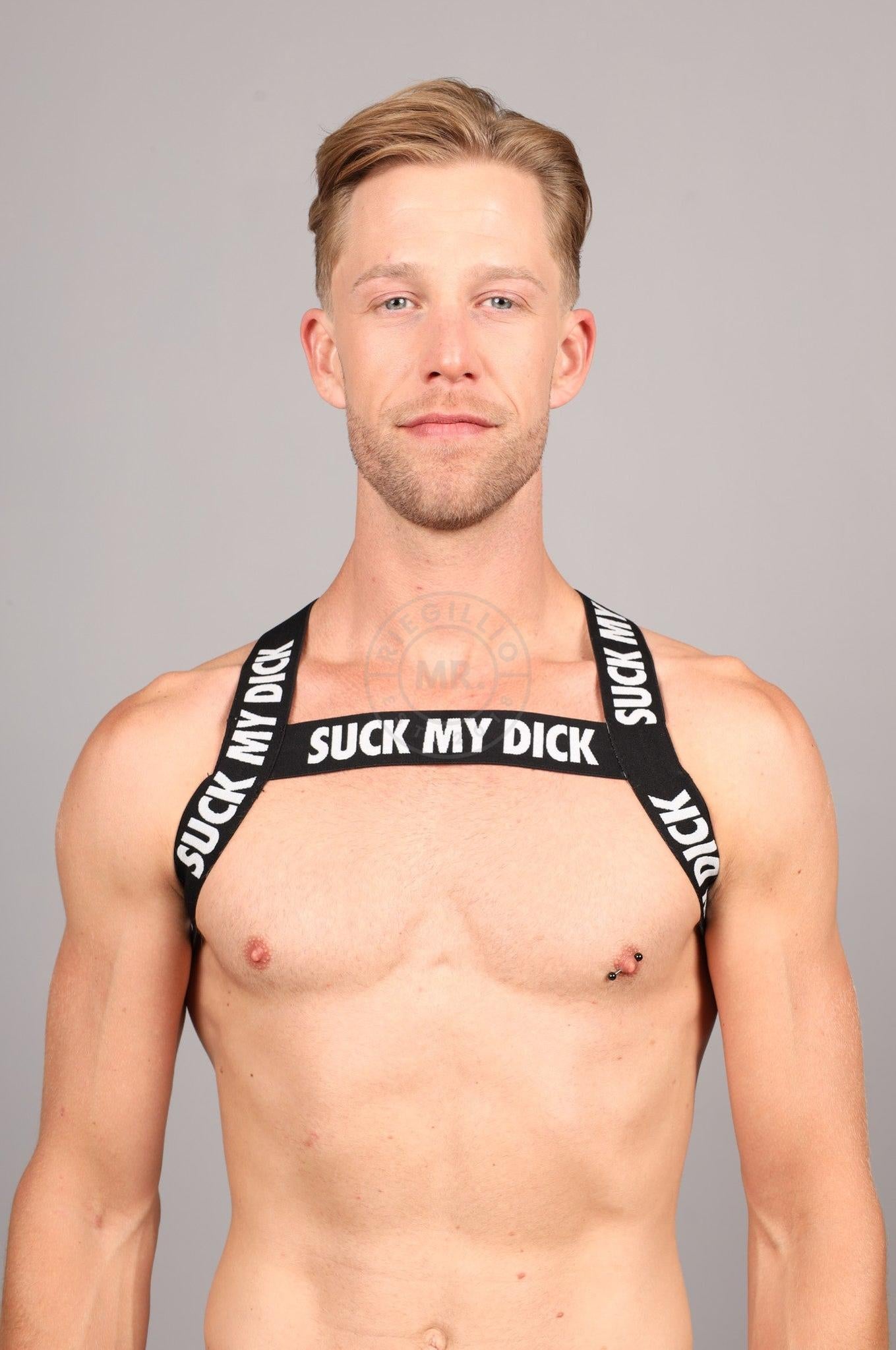 Elastic Harness - SUCK MY DICK at MR. Riegillio