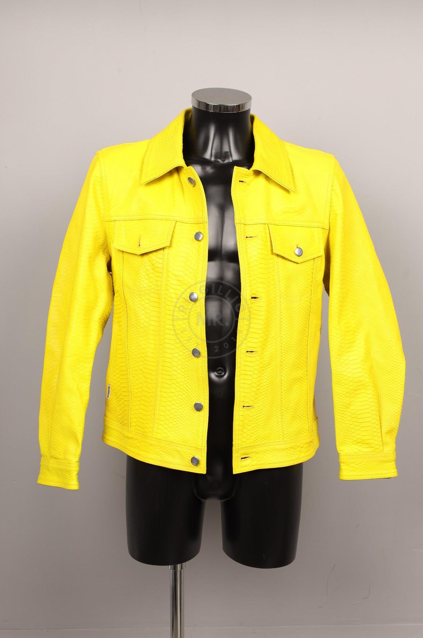 #048 Cowhide Leather Jacket at MR. Riegillio