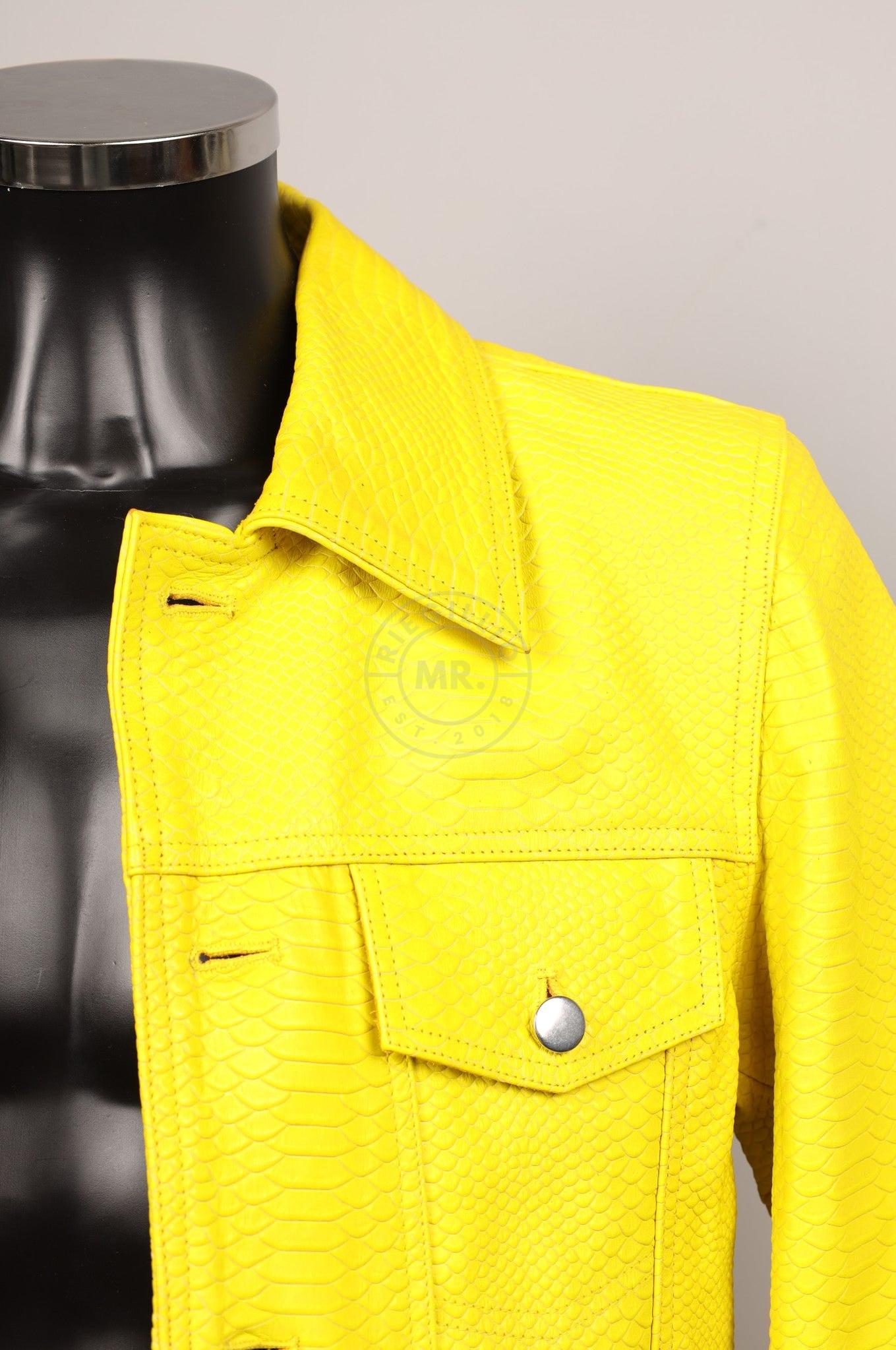 #048 Cowhide Leather Jacket at MR. Riegillio