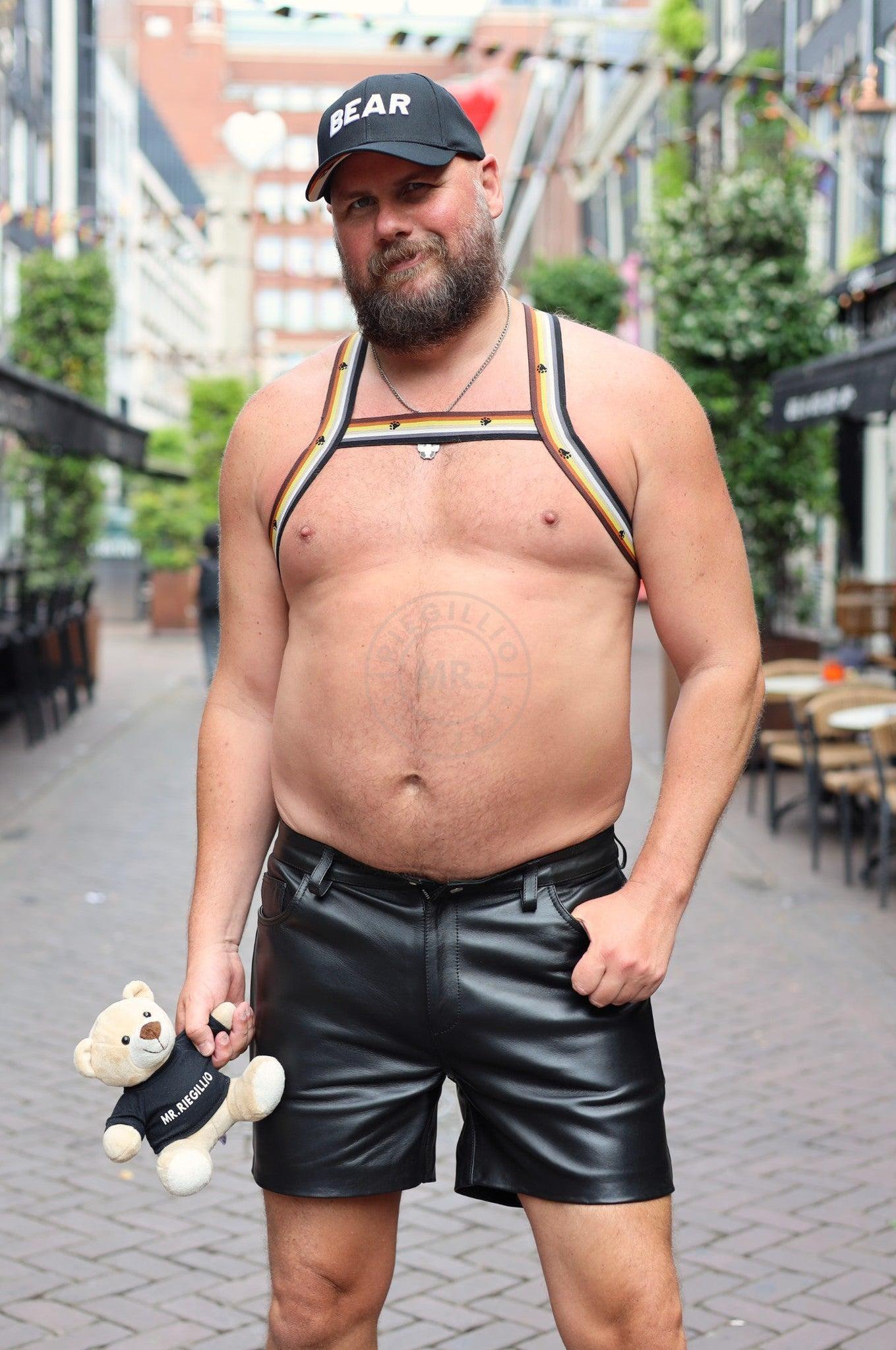 Elastic Harness - BEAR Flag at MR. Riegillio