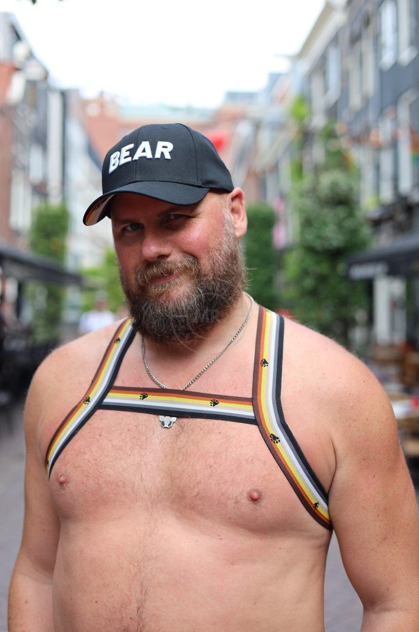 Elastic Harness - BEAR Flag at MR. Riegillio