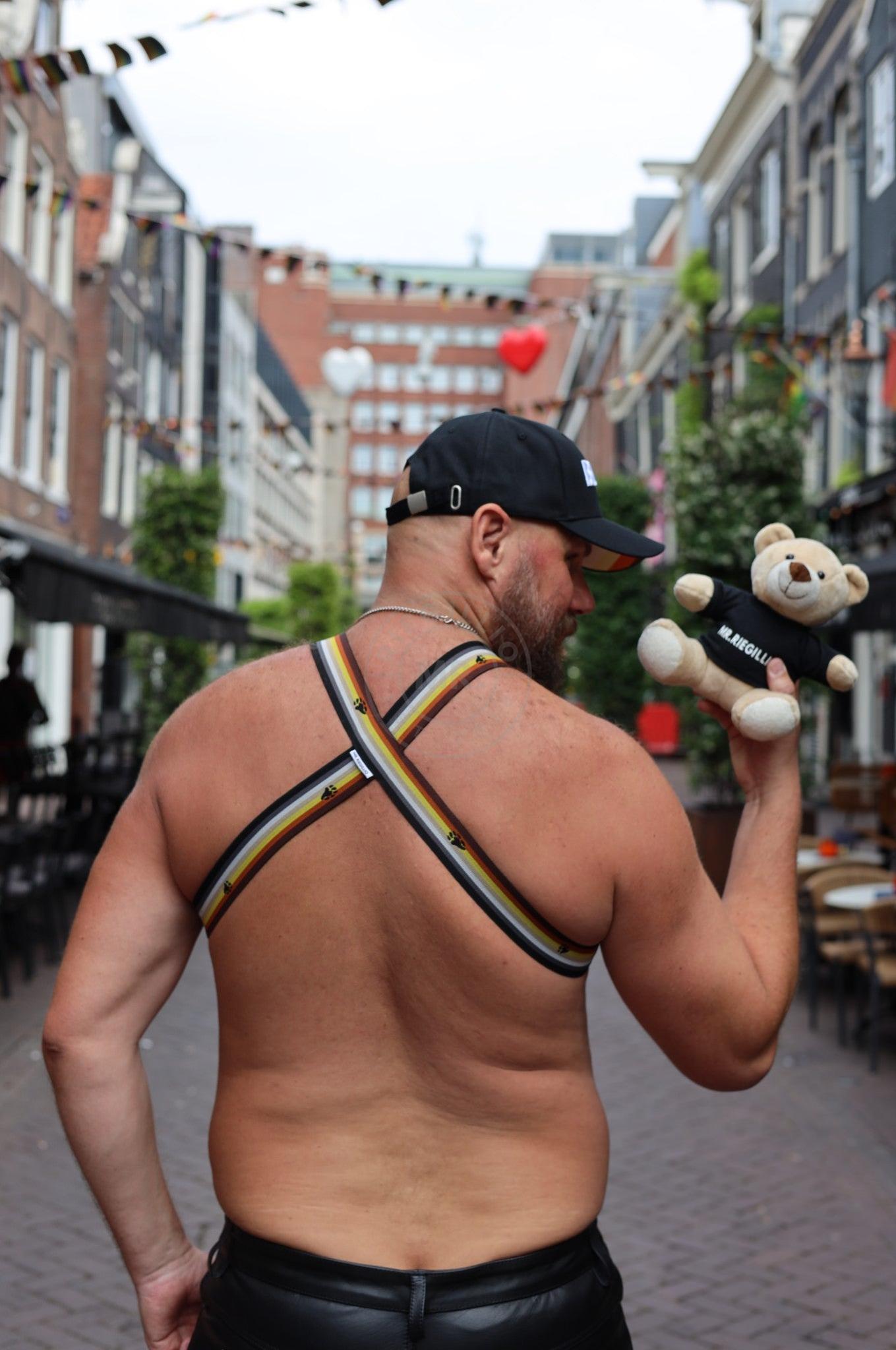 Elastic Harness - BEAR Flag at MR. Riegillio
