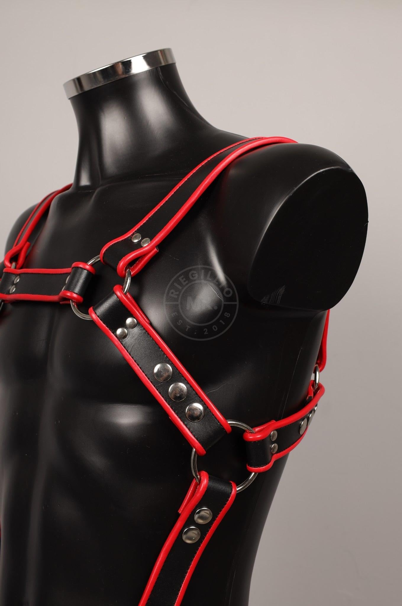 #109 Leather Harness at MR. Riegillio