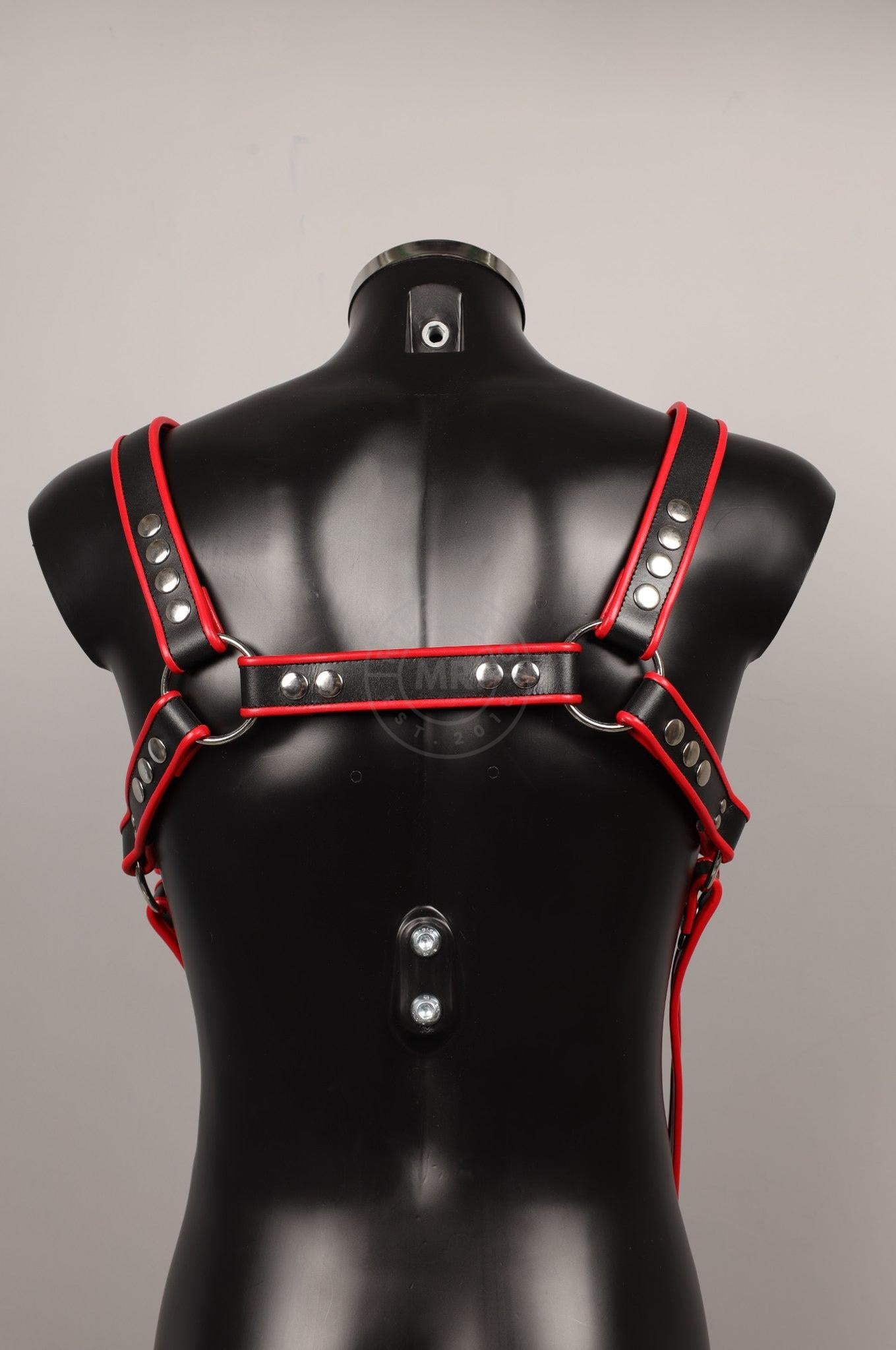 #109 Leather Harness at MR. Riegillio
