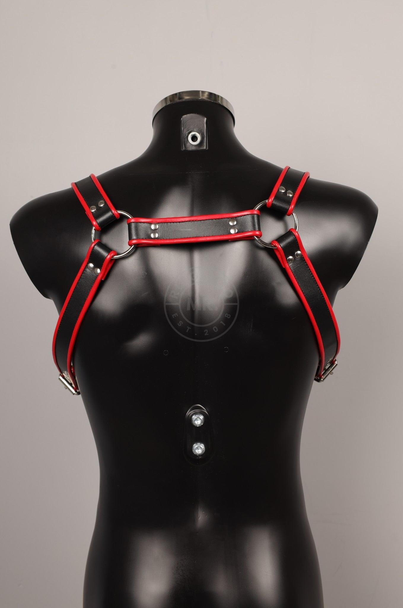 #140 Leather Harness at MR. Riegillio