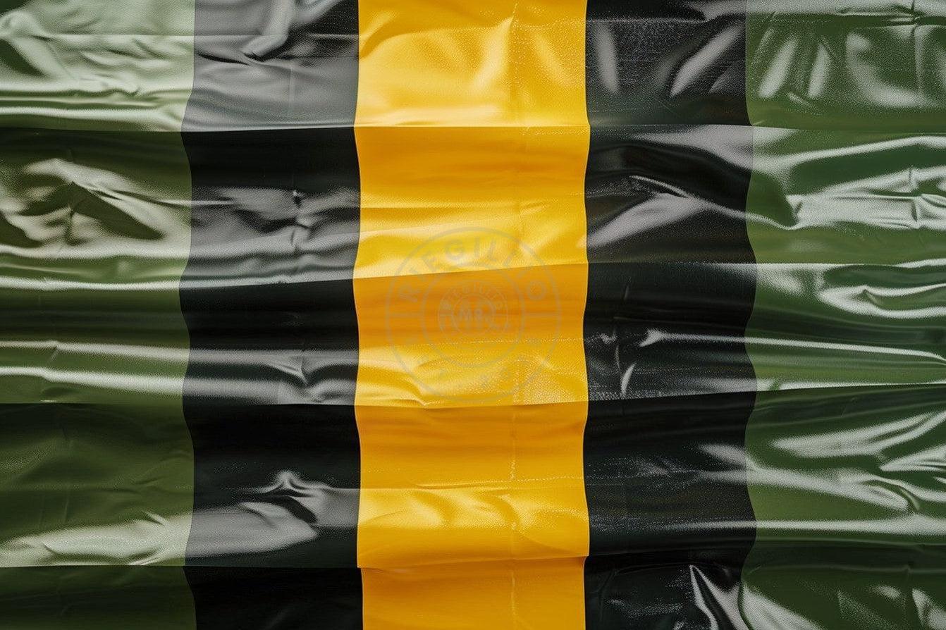 Pride Flag - PVC - 90 x 150 cm at MR. Riegillio