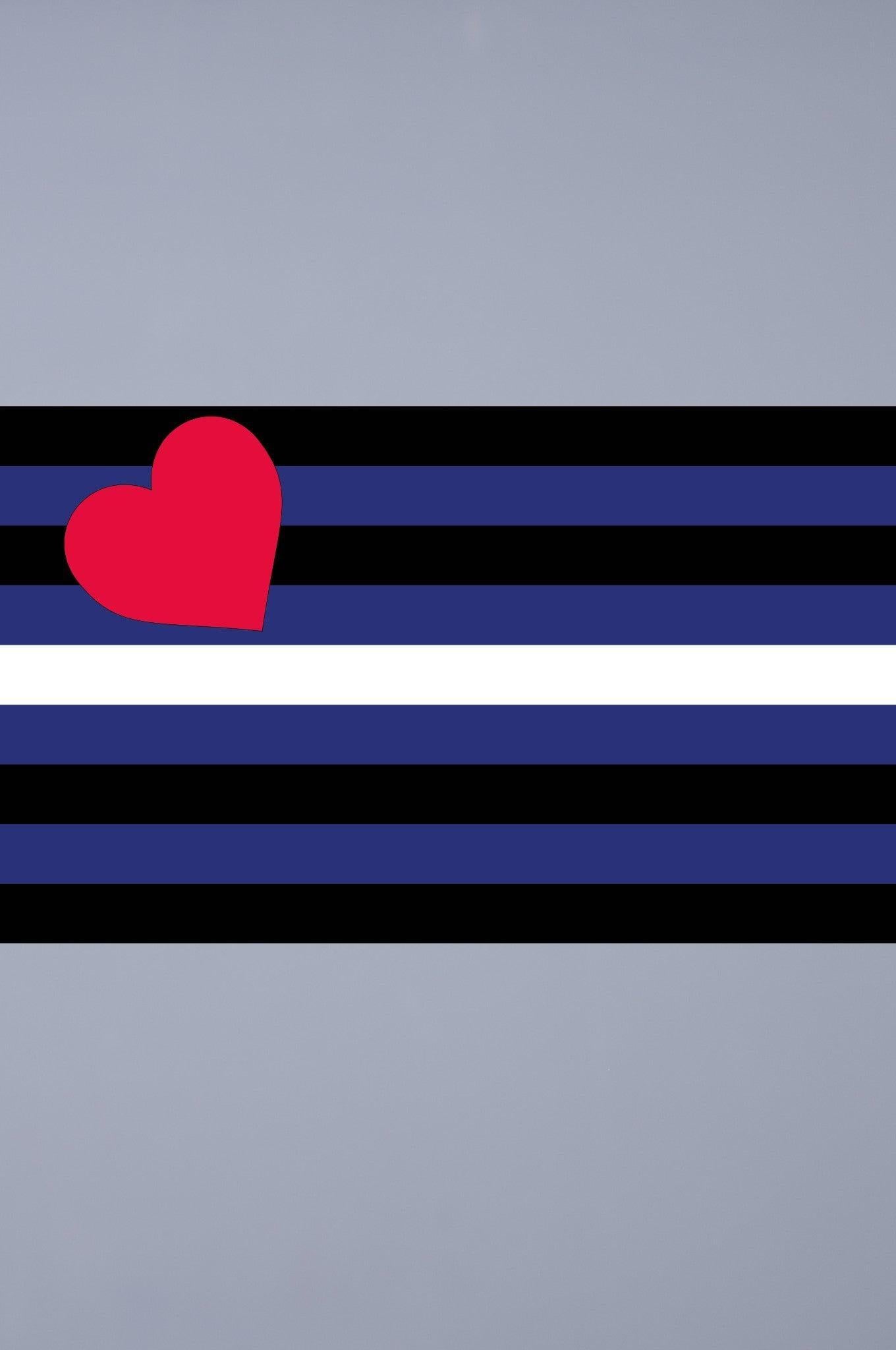 Pride Flag - Leather - 90 x 150 cm at MR. Riegillio