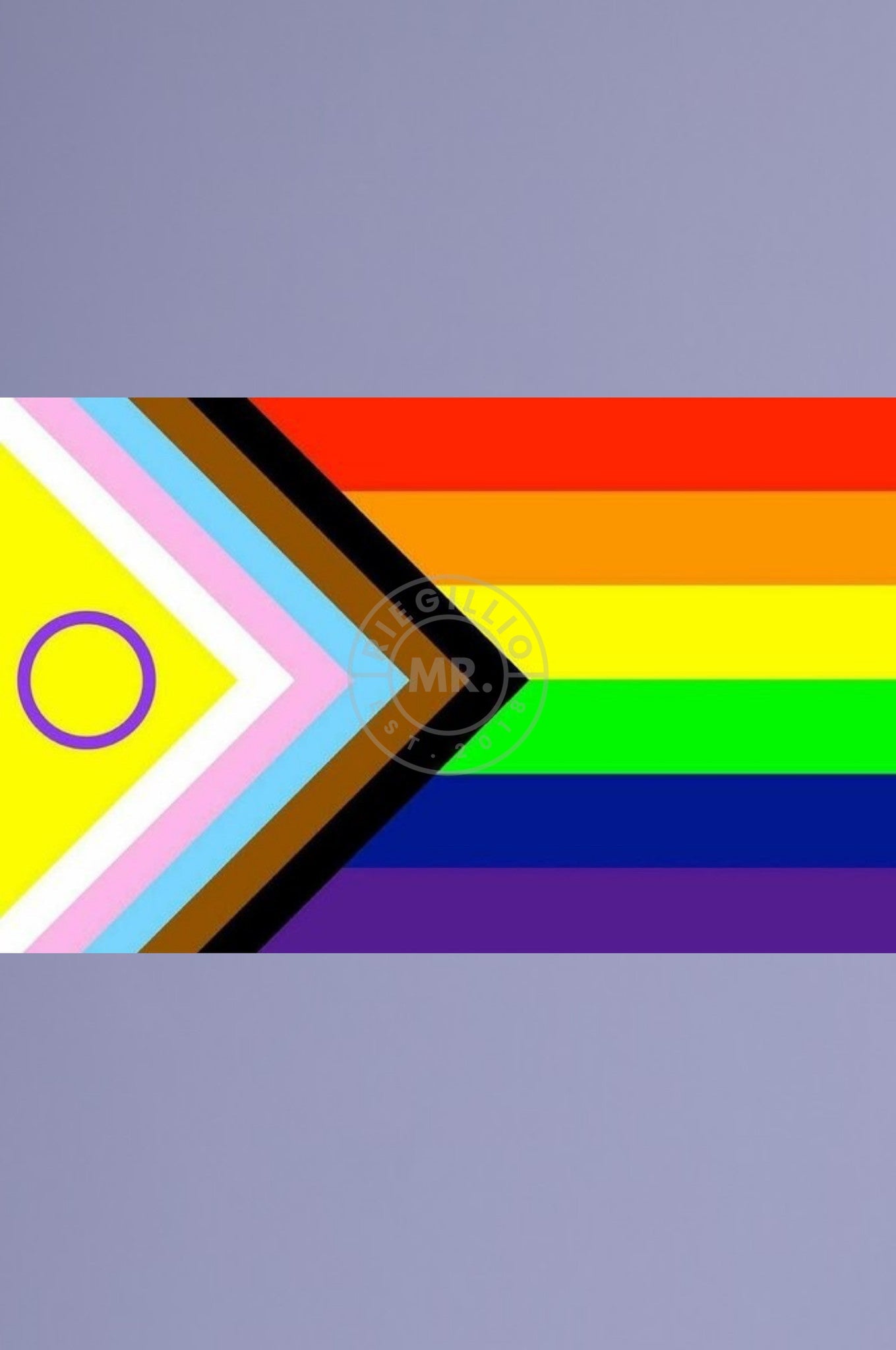Intersex Progress Pride Flag 90cm x 150cm-at MR. Riegillio
