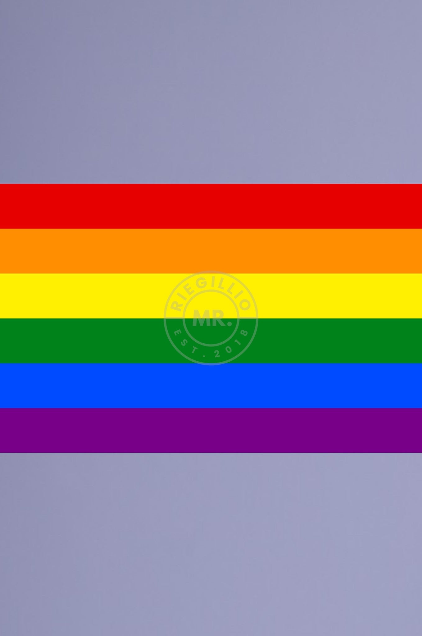 Pride Rainbow Flag 90cm x 150cm at MR. Riegillio