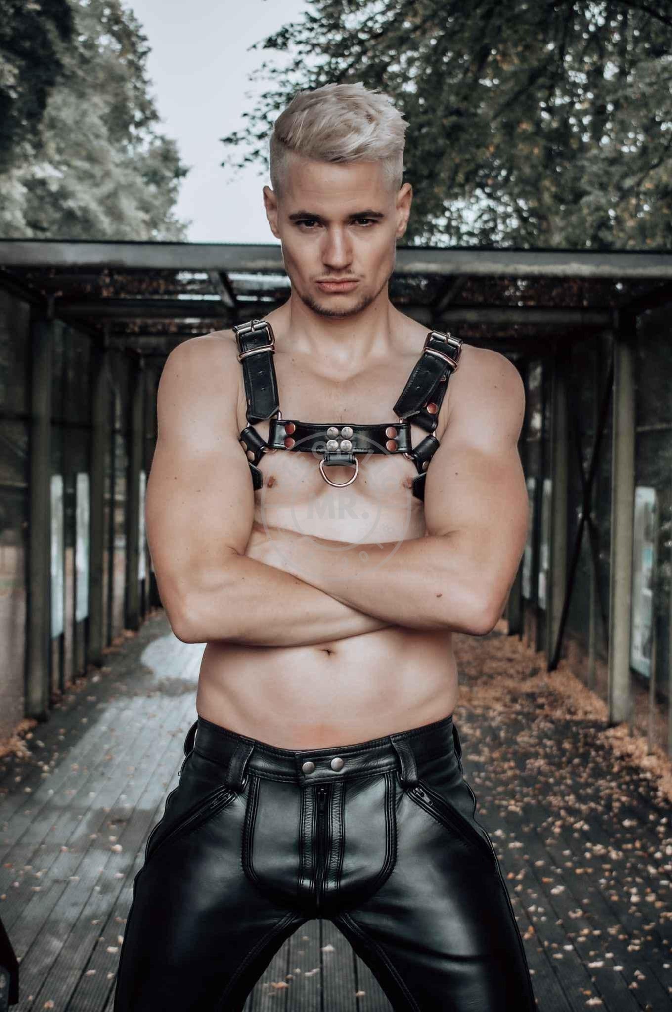 Black Leather Harness at MR. Riegillio