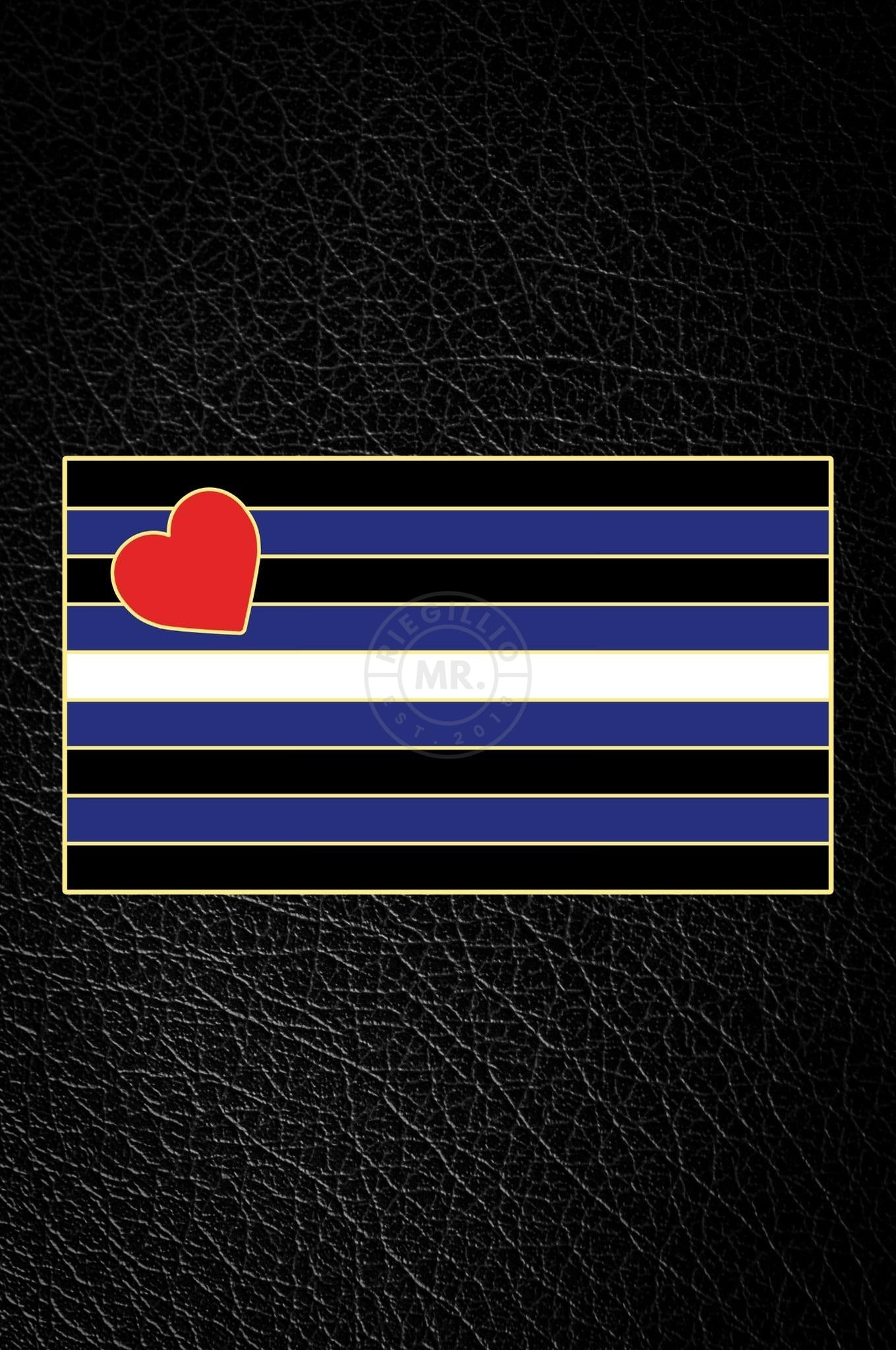 Master of the House Pin - LEATHER FLAG at MR. Riegillio