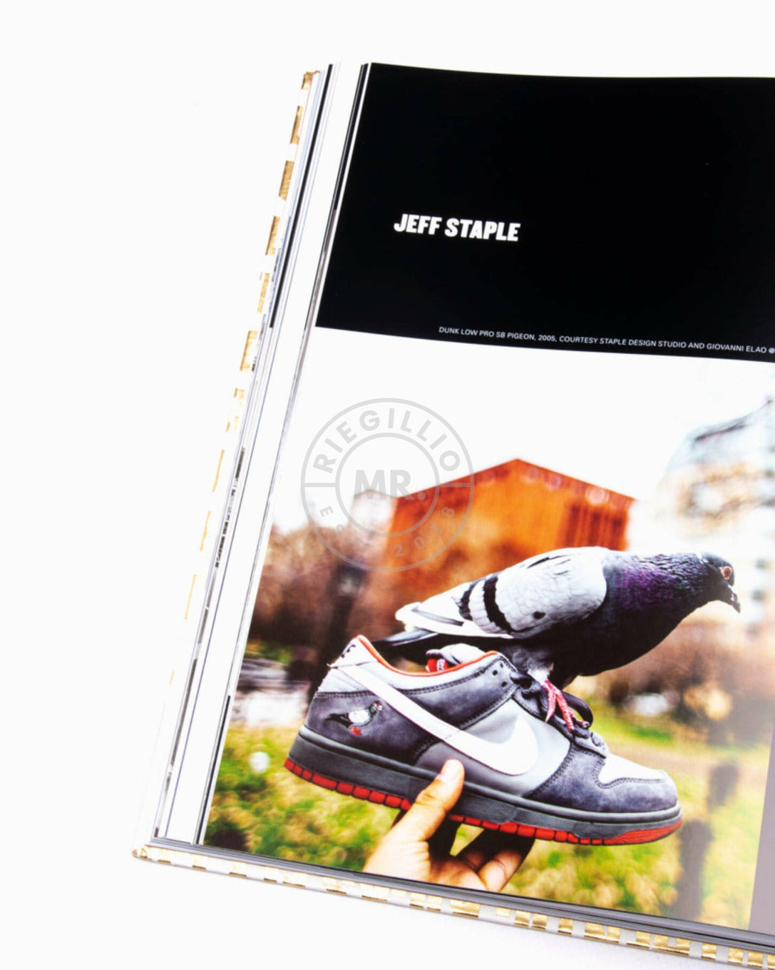 Table Book Out of the box: The rise of the sneaker culture-at MR. Riegillio