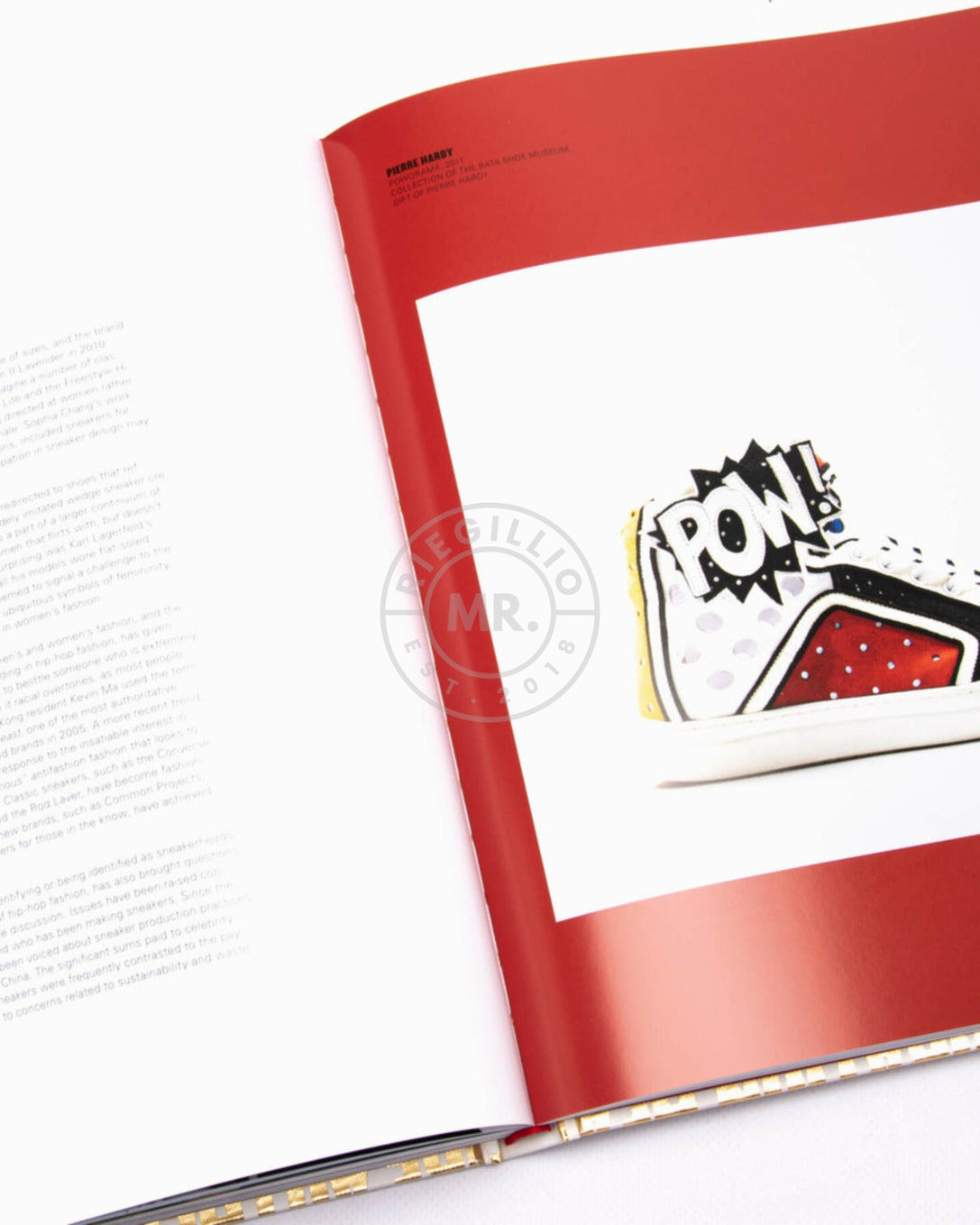 Table Book Out of the box: The rise of the sneaker culture-at MR. Riegillio
