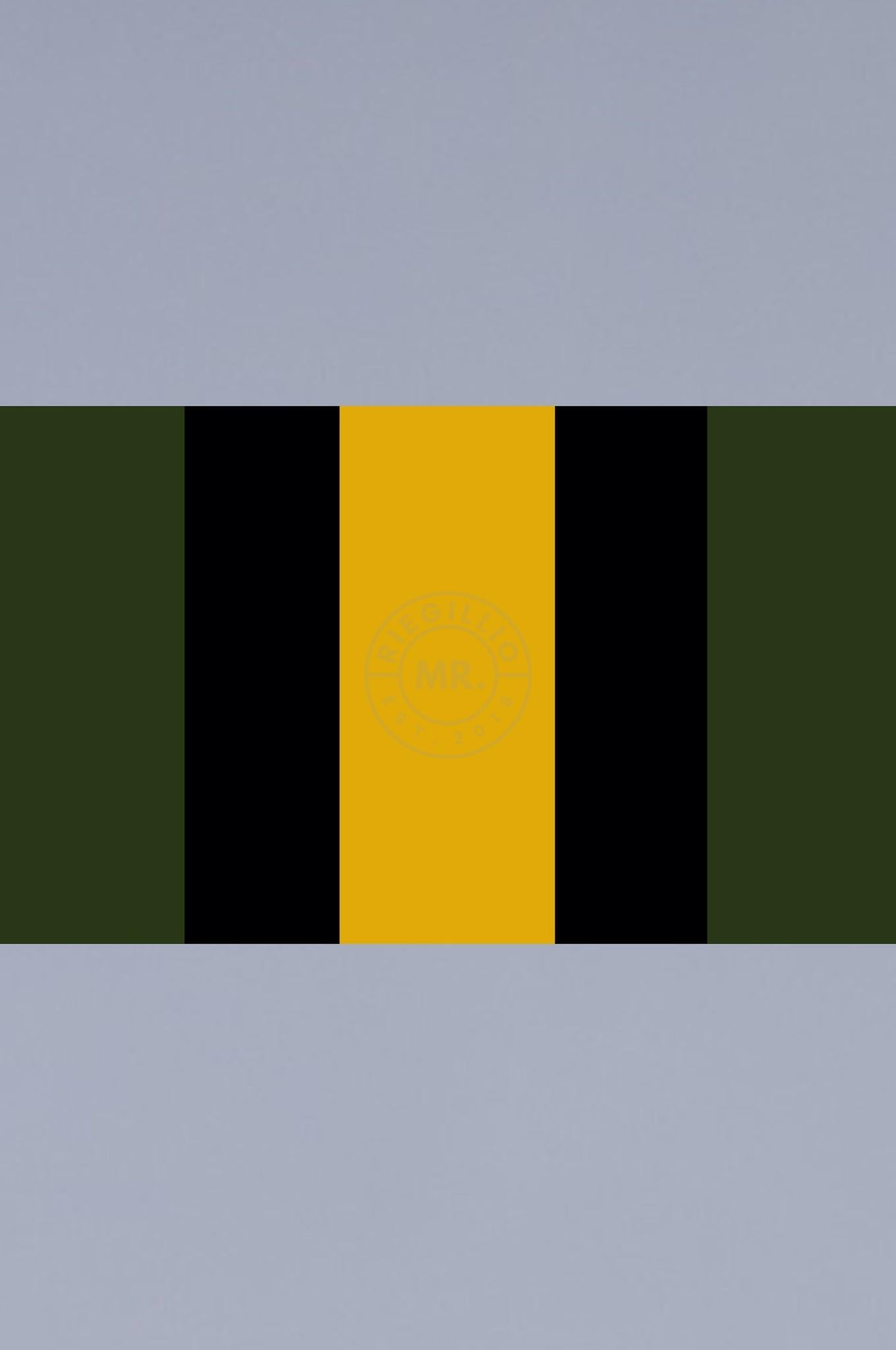 Pride Flag - PVC - 90 x 150 cm at MR. Riegillio