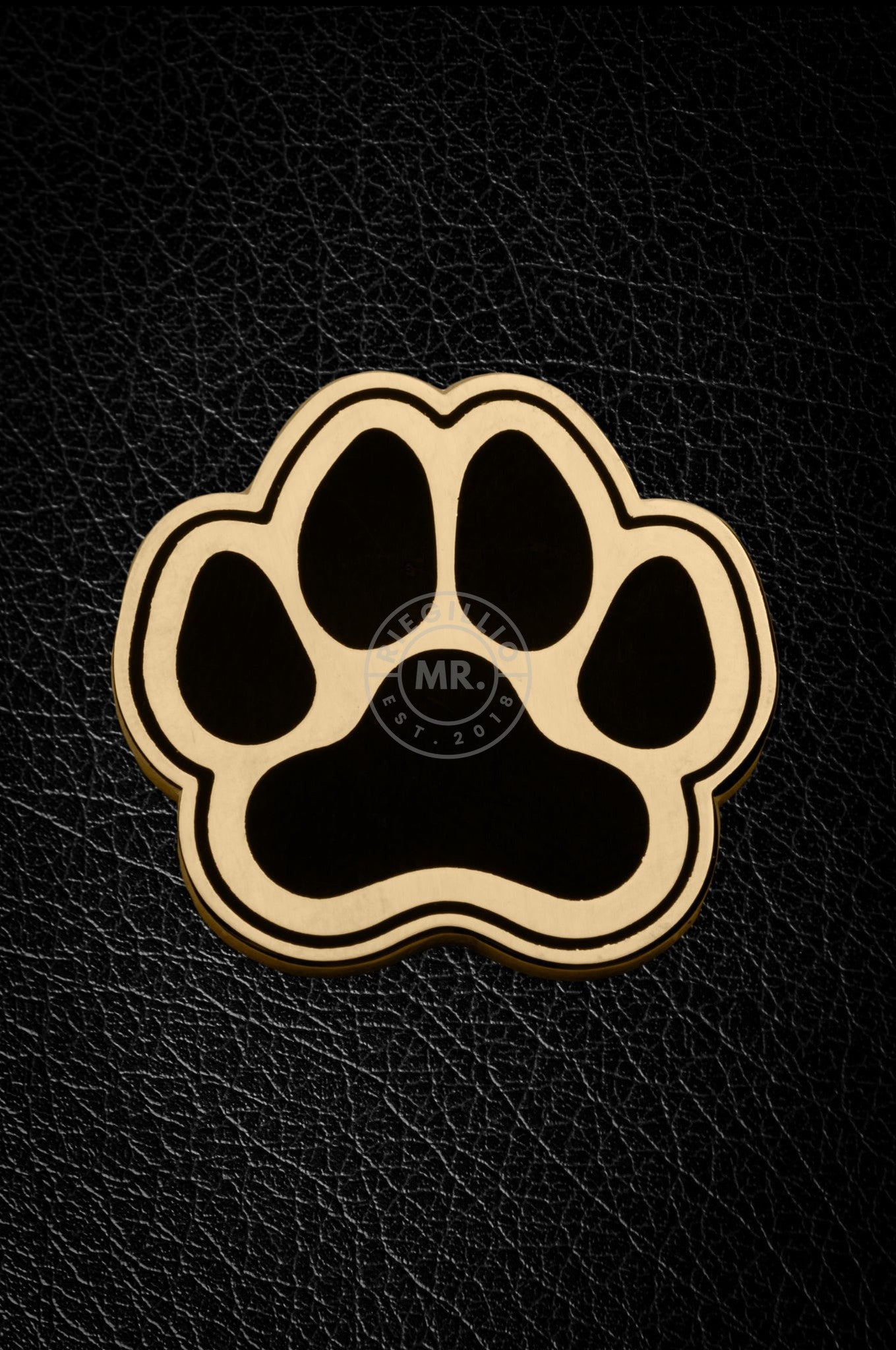 Master of the House Pin - PUPPY PAW at MR. Riegillio