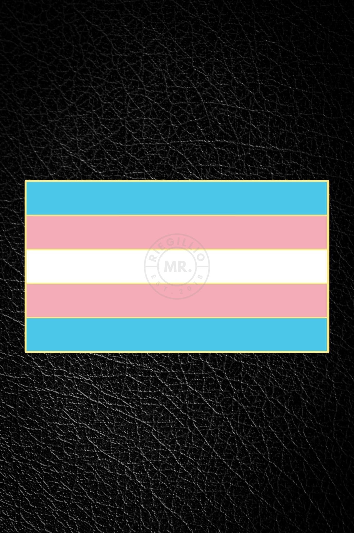 Master of the House Pin - TRANSGENDER FLAG at MR. Riegillio