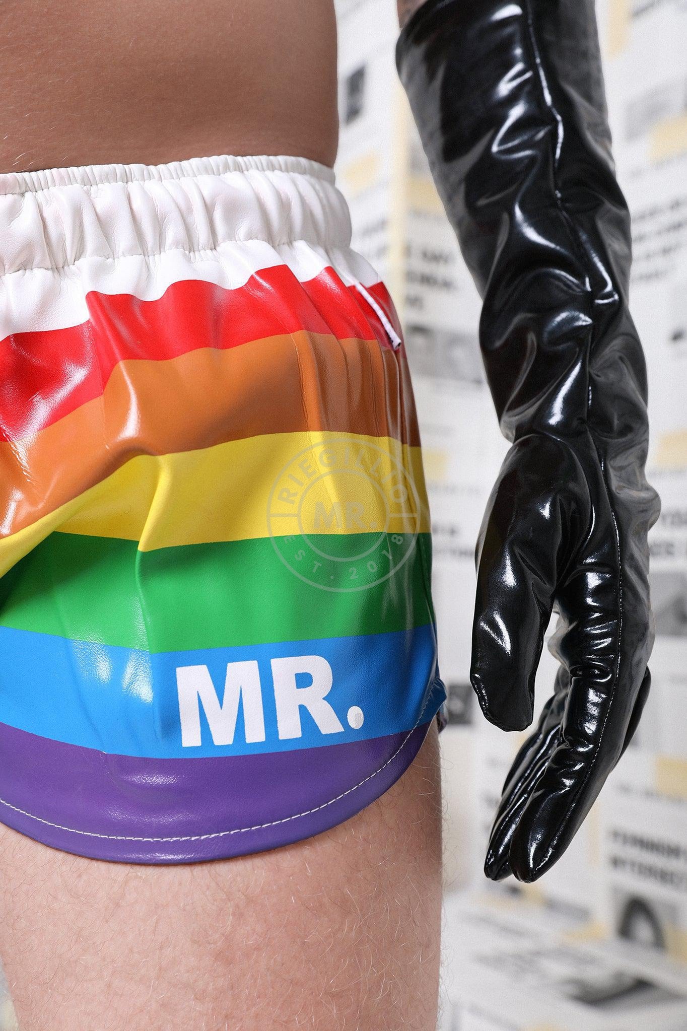 PVC Long Gloves - Black at MR. Riegillio