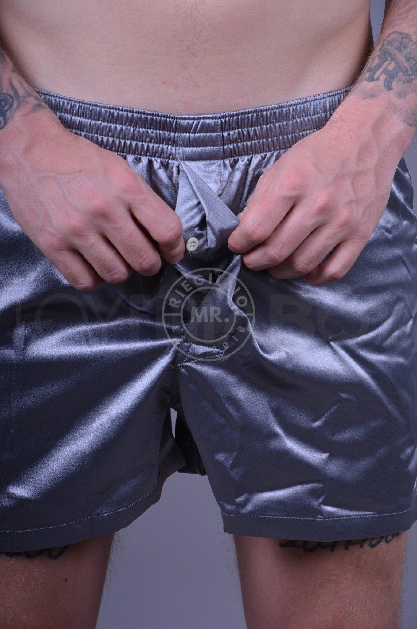 Sk8erboy Shiny Boxershort - Silver at MR. Riegillio