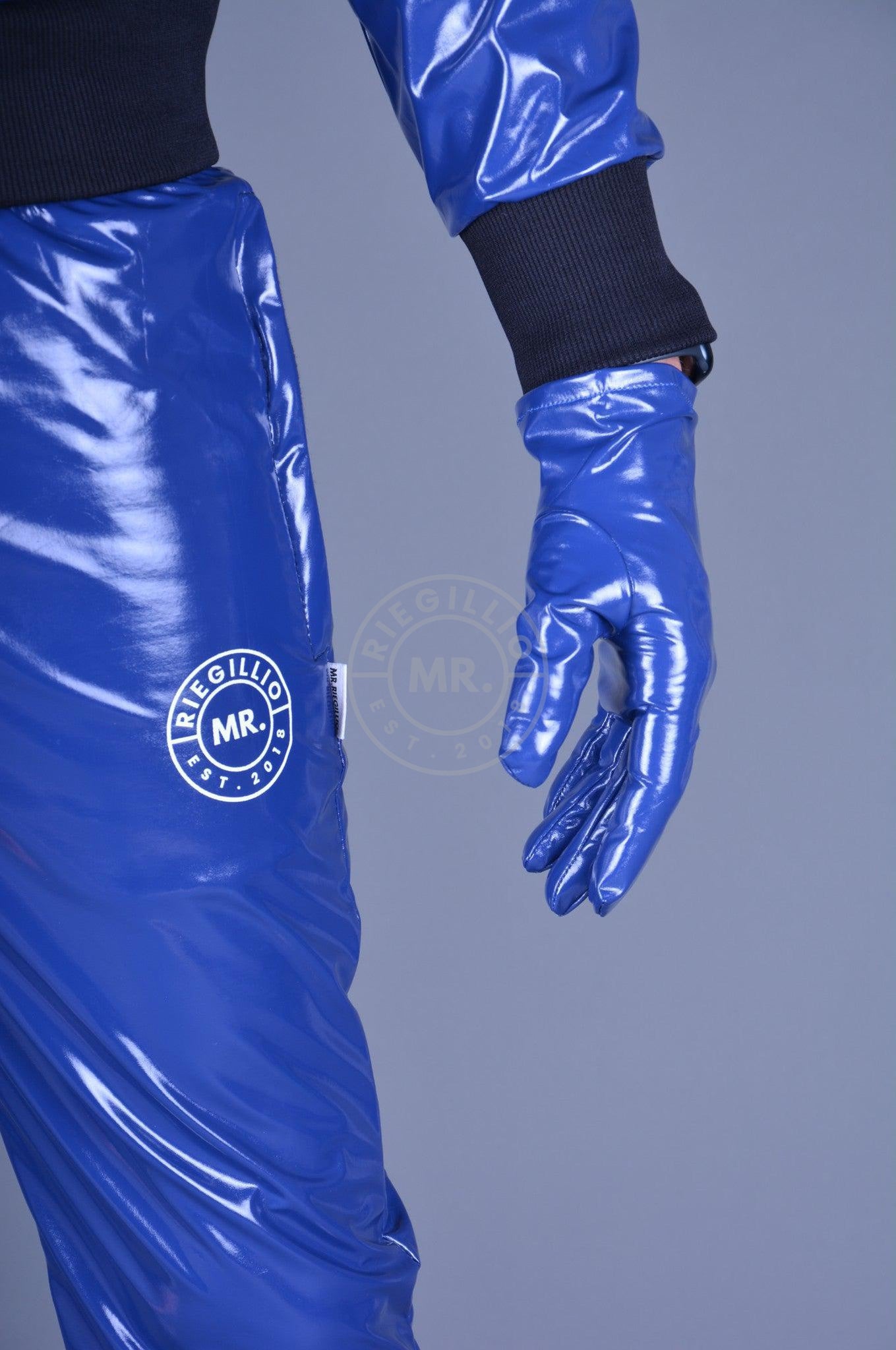 Blue PVC Gloves-at MR. Riegillio