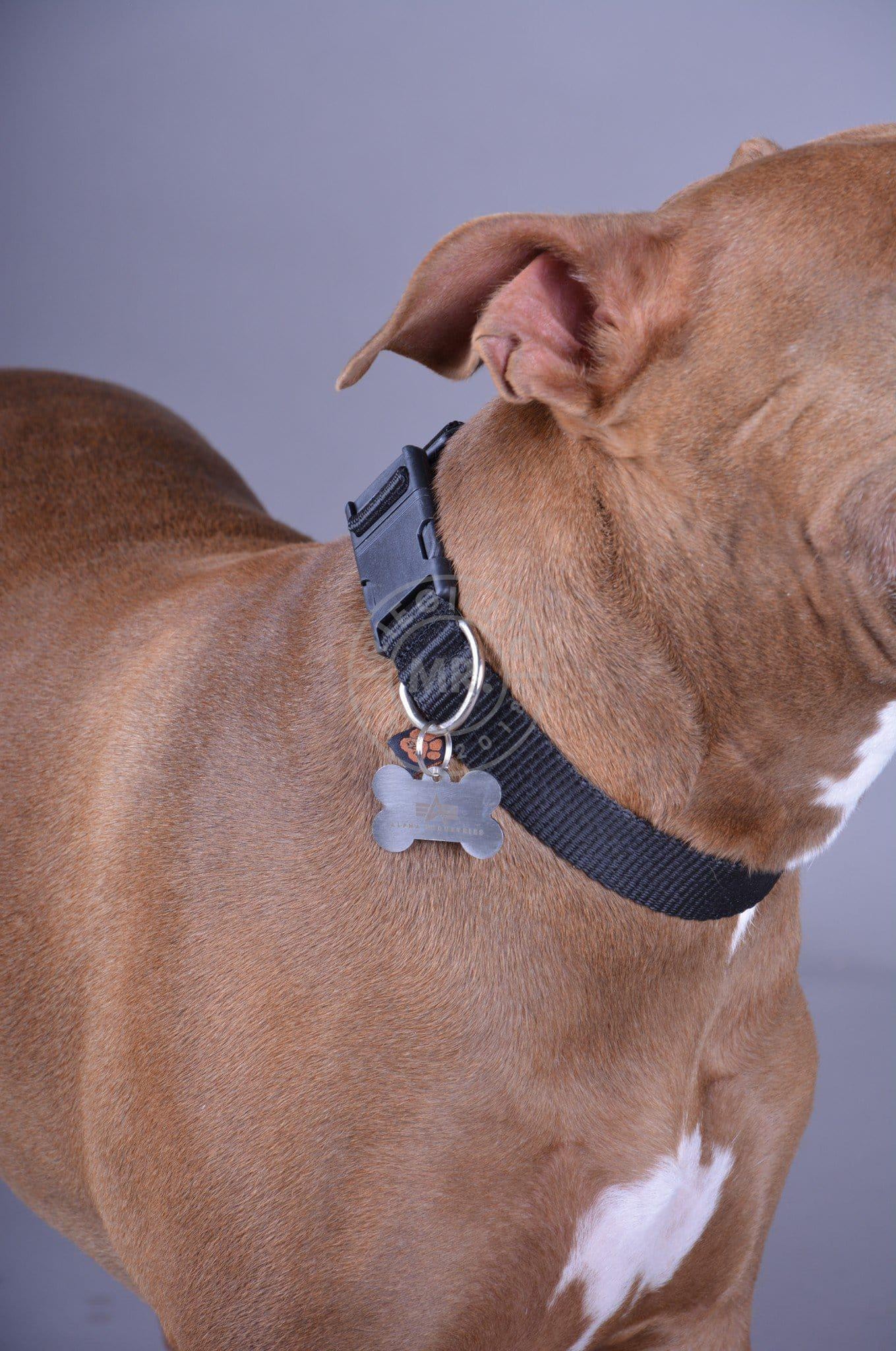 Alpha Industries Basic Dog - Tag Collar - Black-at MR. Riegillio