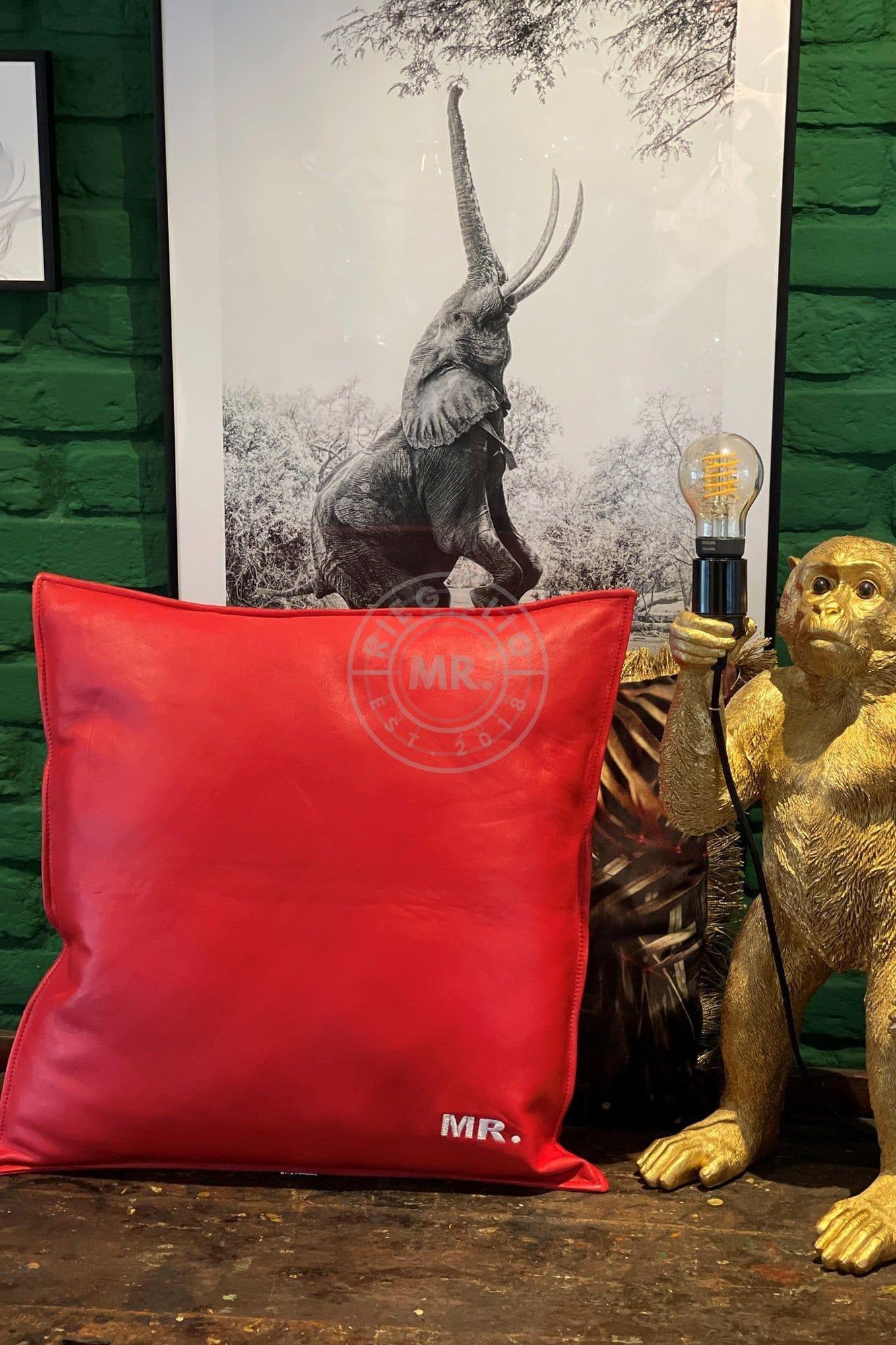 Red Leather Pillow at MR. Riegillio