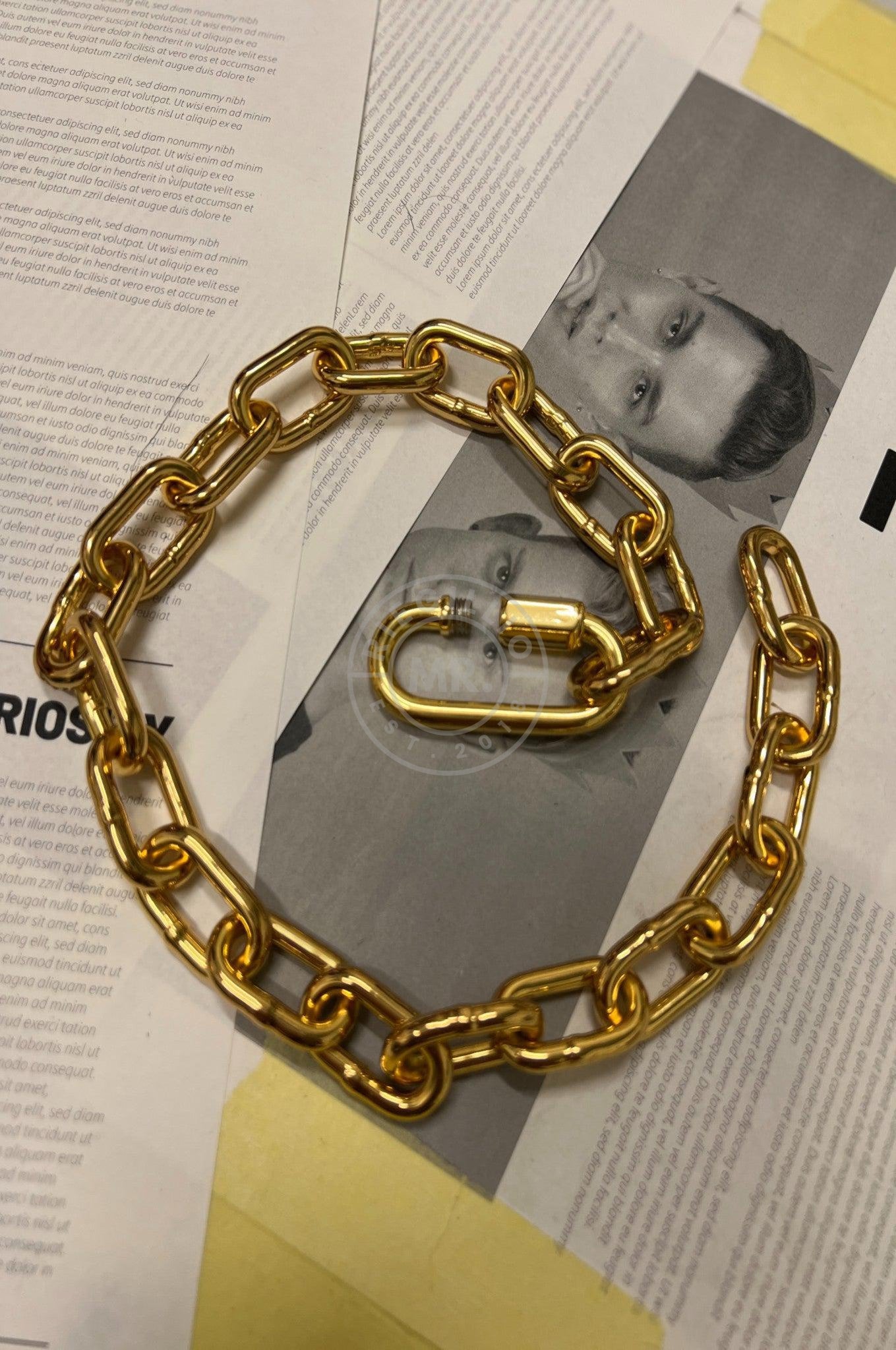 SIRAINER Chain Collar - Gold at MR. Riegillio