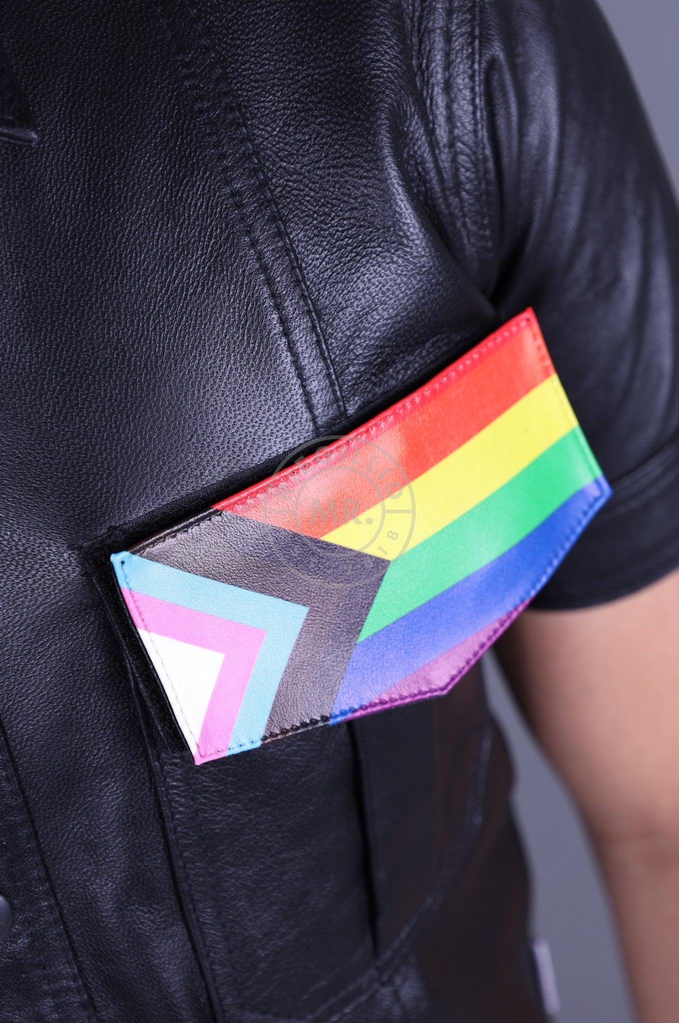 Velcro Patch - Progress Pride Flag at MR. Riegillio