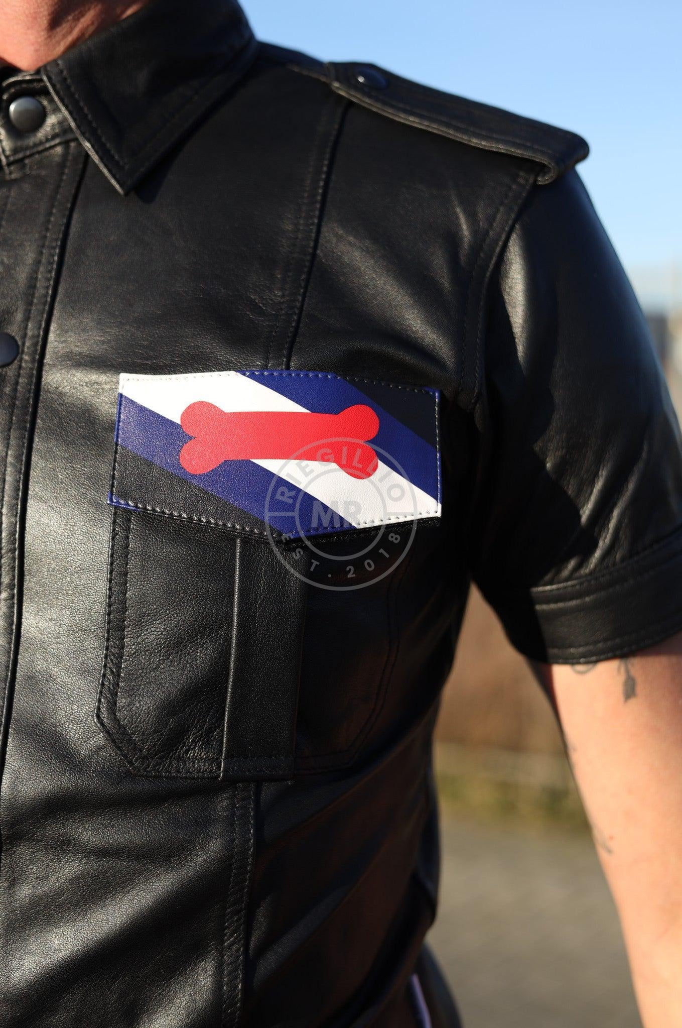 Velcro Patch - Puppy Flag at MR. Riegillio
