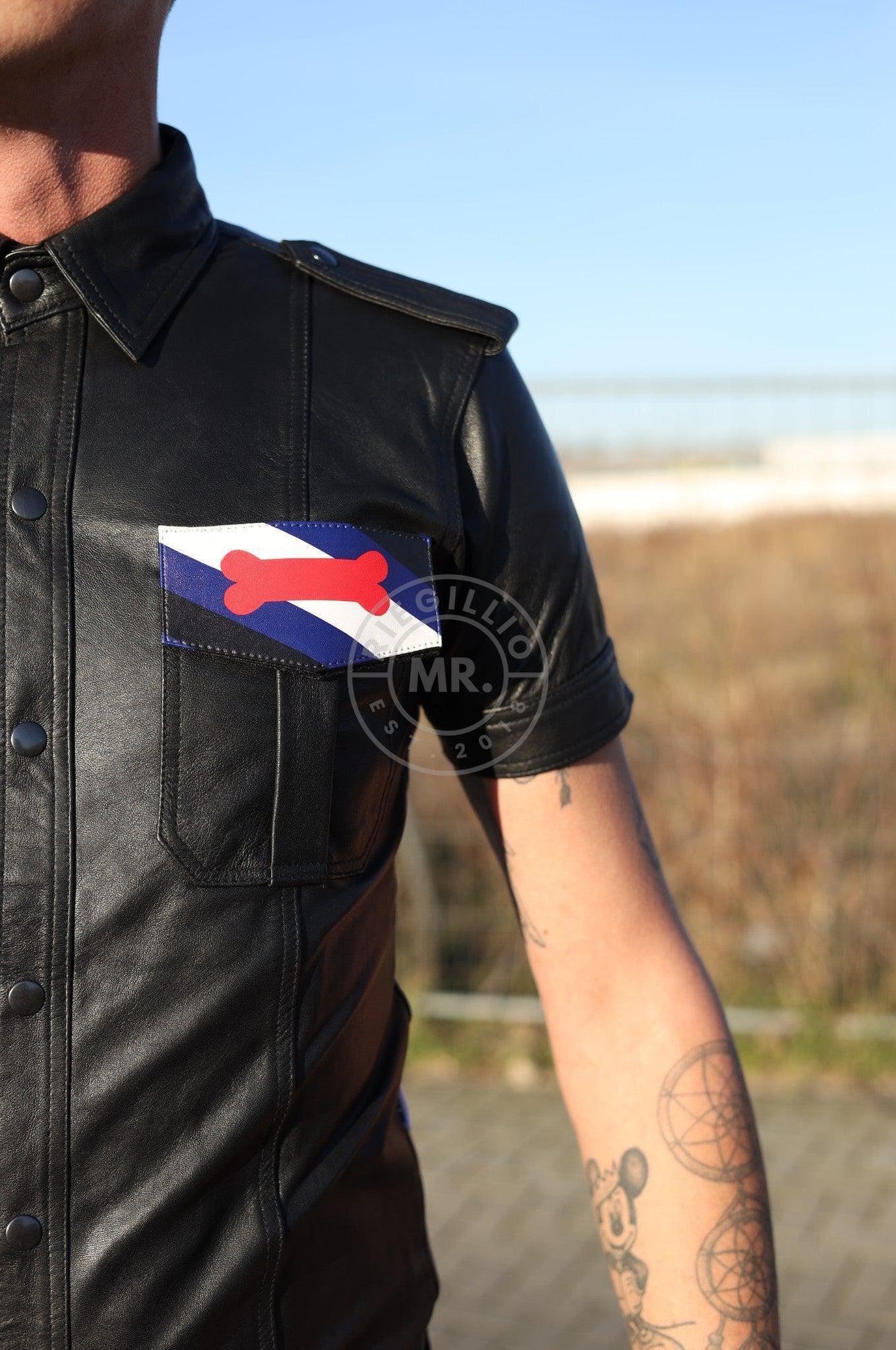 Velcro Patch - Puppy Flag at MR. Riegillio