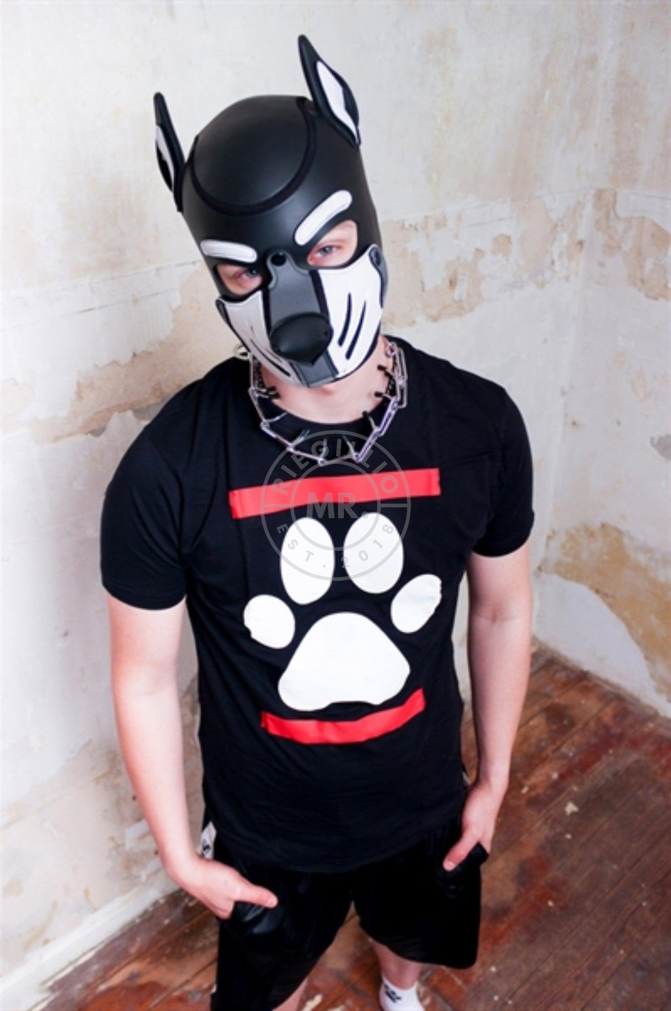 Sk8erboy DOG PAW T-Shirt at MR. Riegillio