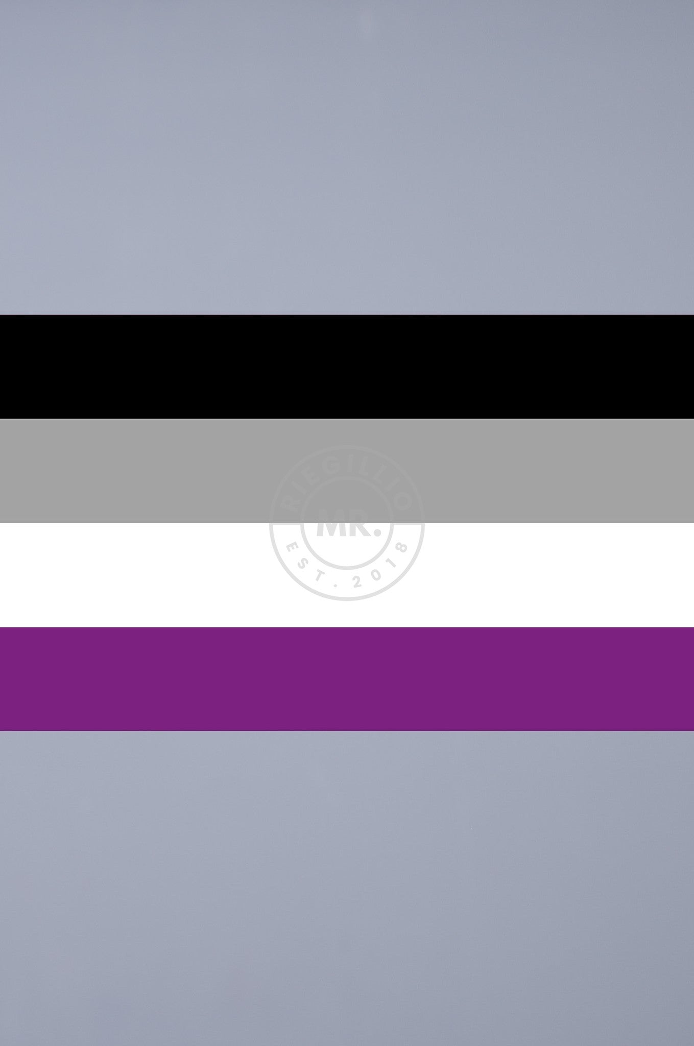 Pride Flag - Asexual - 90 x 150 cm at MR. Riegillio