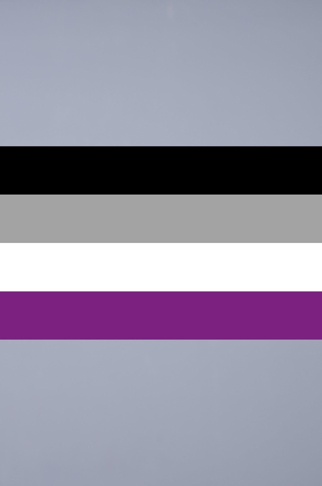 Pride Flag - Asexual - 90 x 150 cm at MR. Riegillio