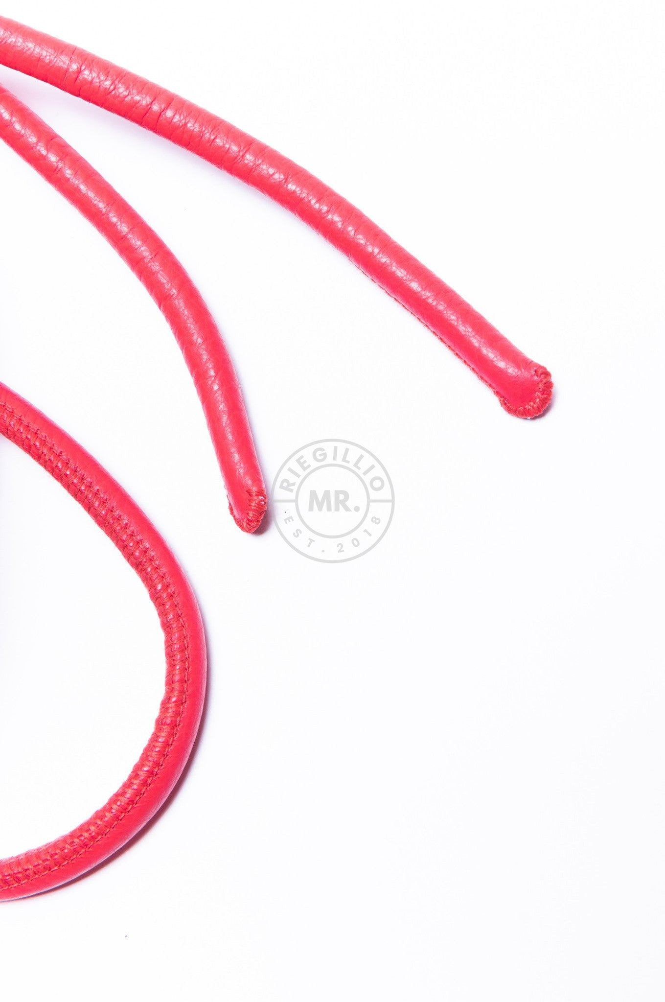 SIRAINER Red Leather Shibari Rope at MR. Riegillio