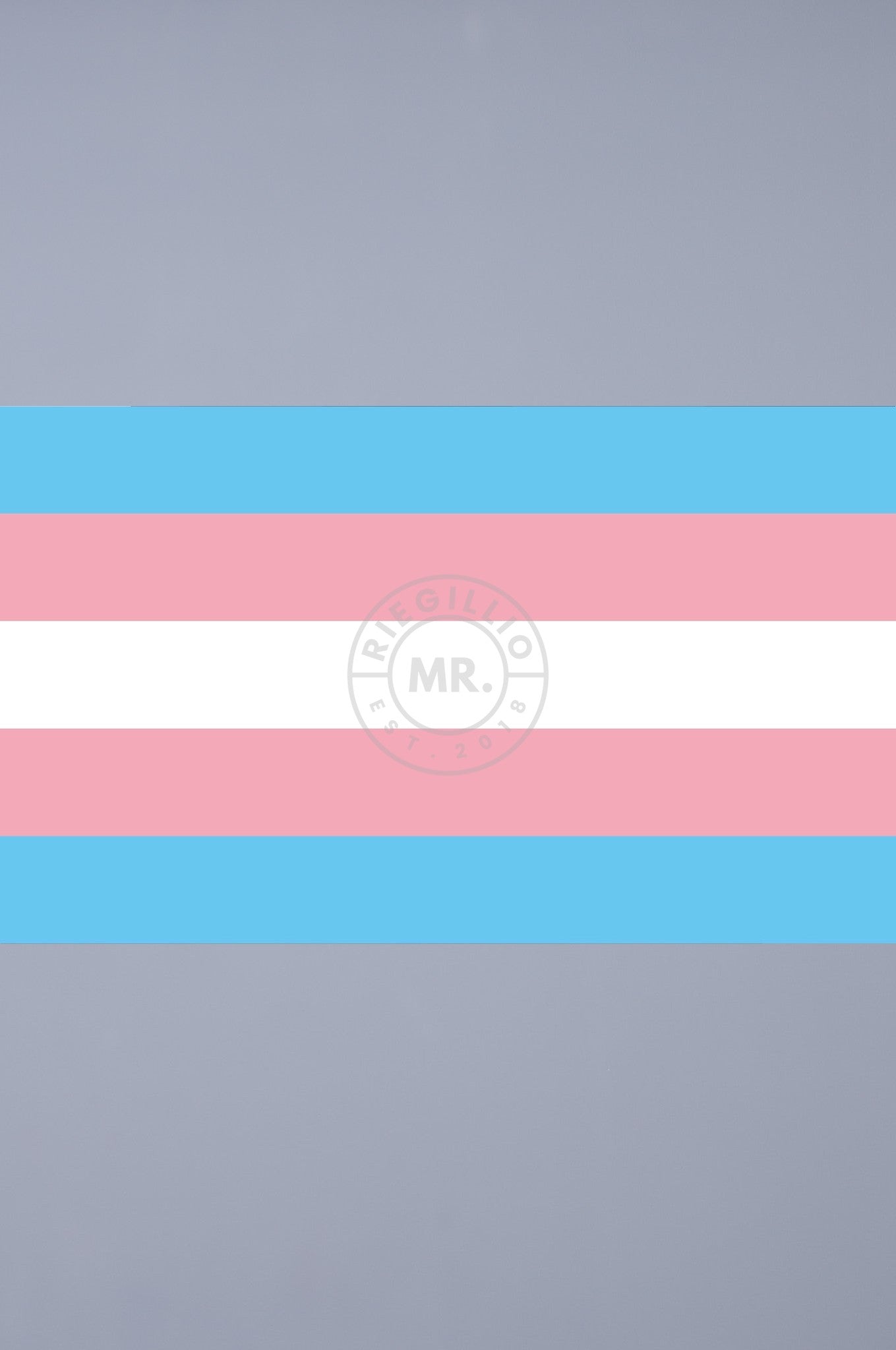 Pride Flag - Transgender - 90 x 150 cm at MR. Riegillio