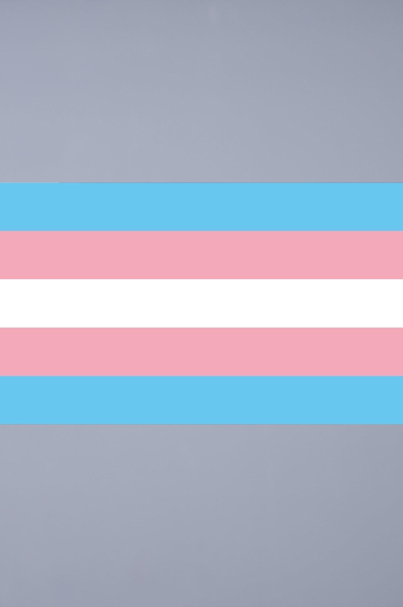 Pride Flag - Transgender - 90 x 150 cm at MR. Riegillio