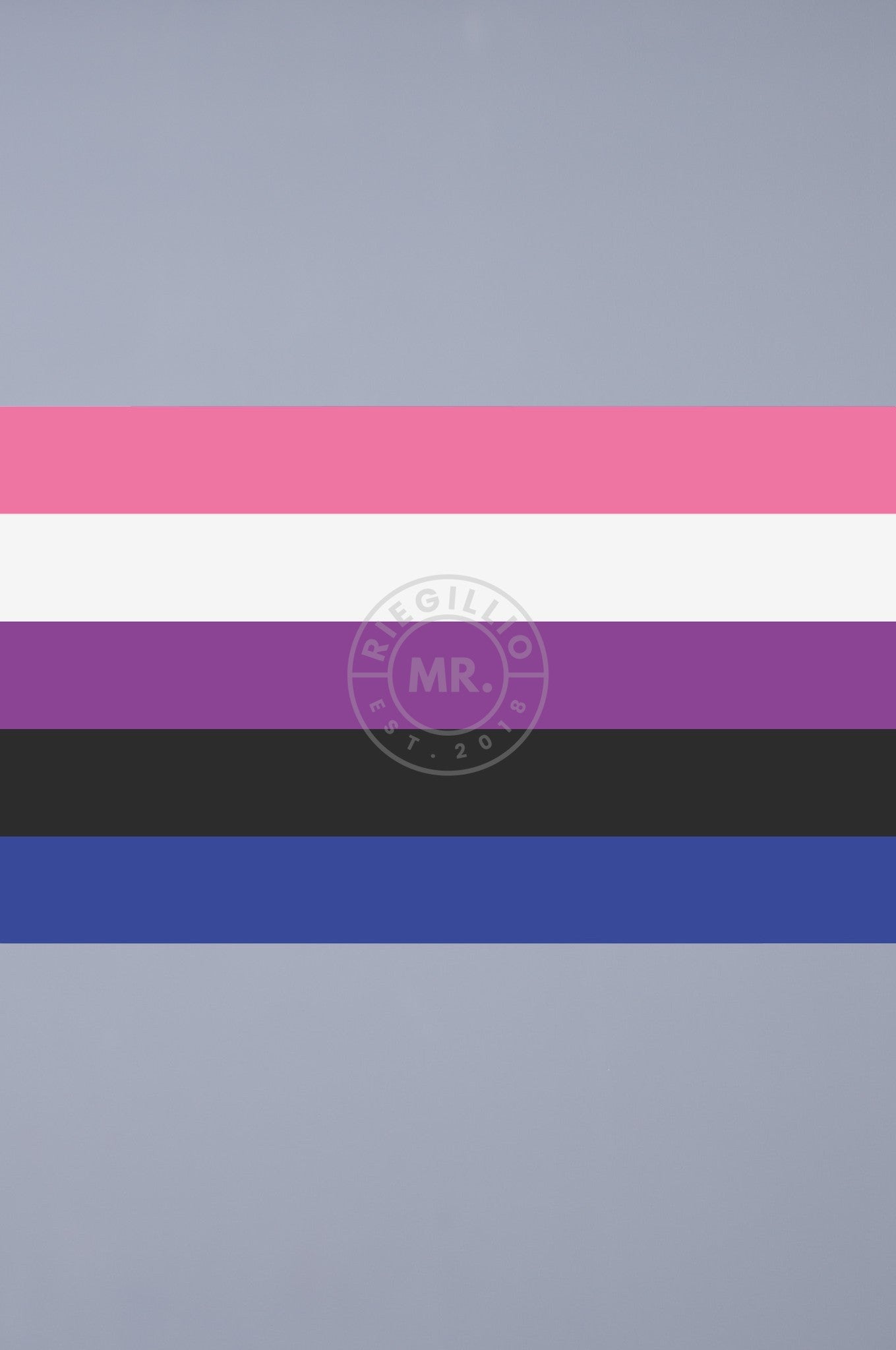 Pride Flag - Genderfluid - 90 x 150 cm at MR. Riegillio