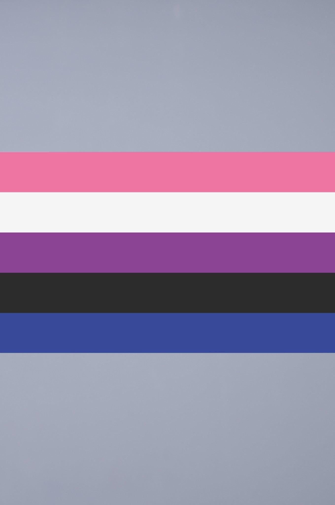 Pride Flag - Genderfluid - 90 x 150 cm at MR. Riegillio