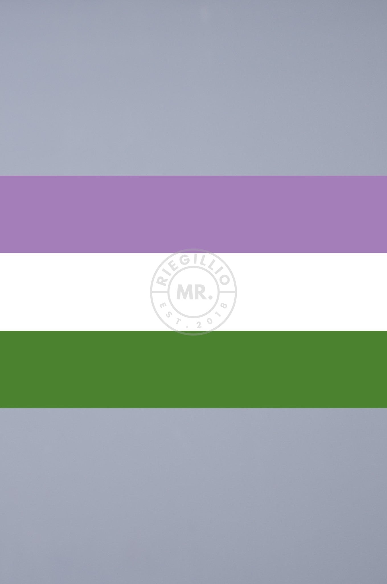 Pride Flag - Genderqueer - 90 x 150 cm at MR. Riegillio