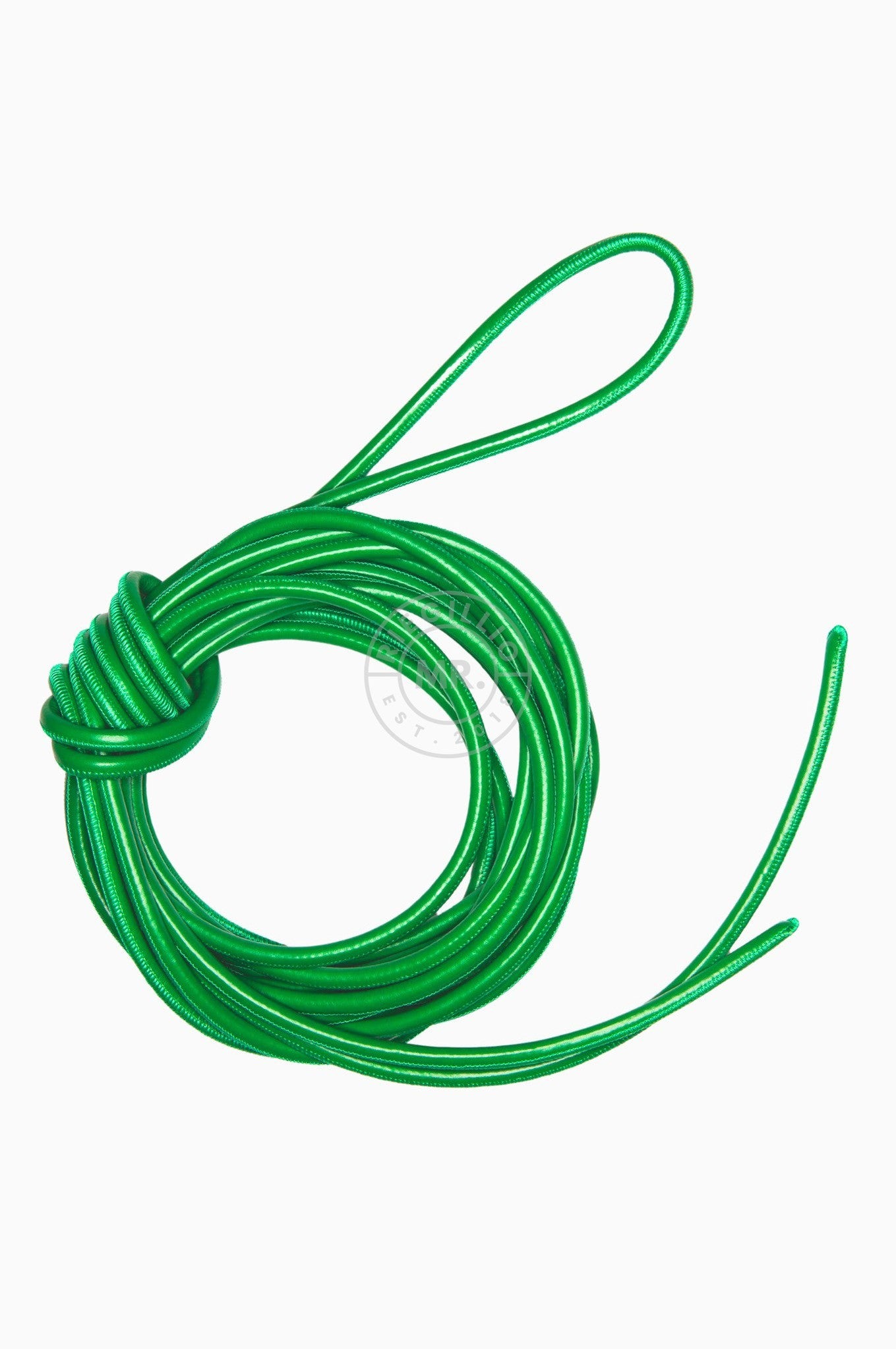 SIRAINER Green Leather Shibari Rope at MR. Riegillio