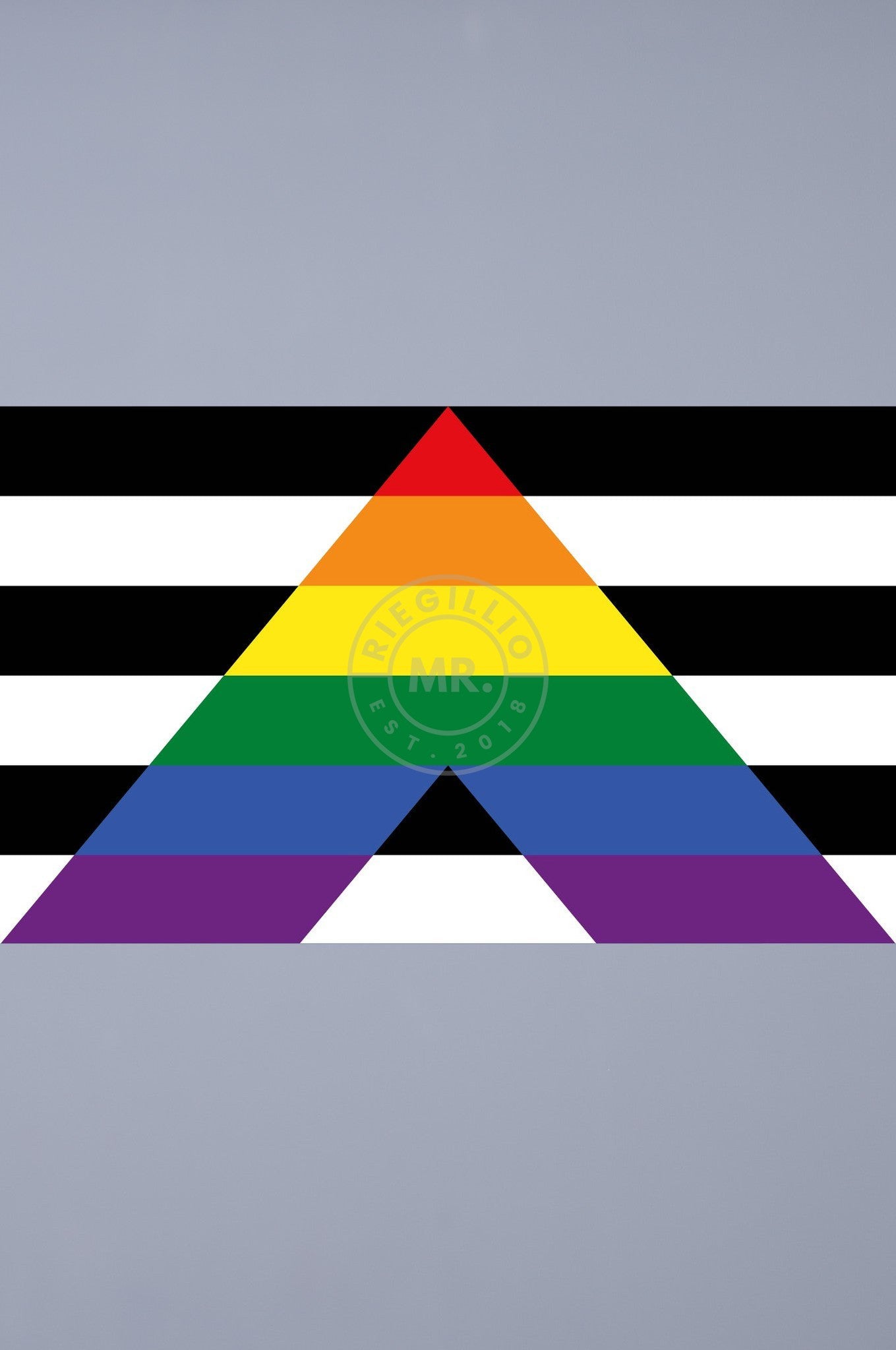 Pride Flag - Ally - 90 x 150 cm at MR. Riegillio