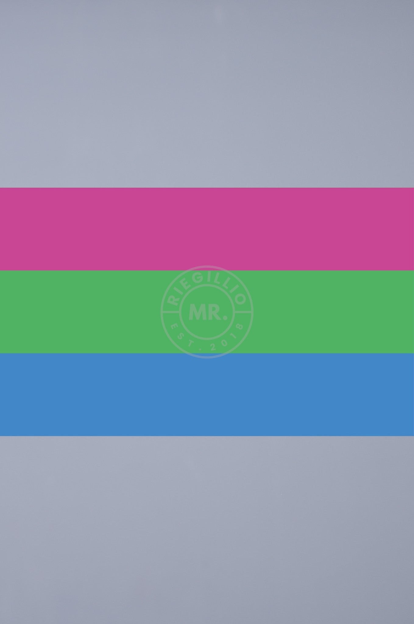 Pride Flag - Polysexual - 90 x 150 cm at MR. Riegillio