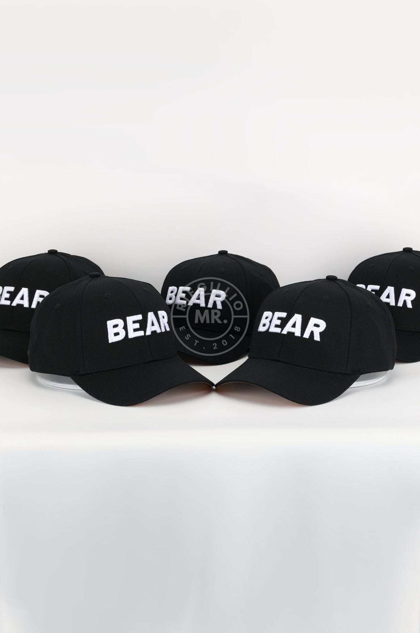 Bear Pride Cap at MR. Riegillio