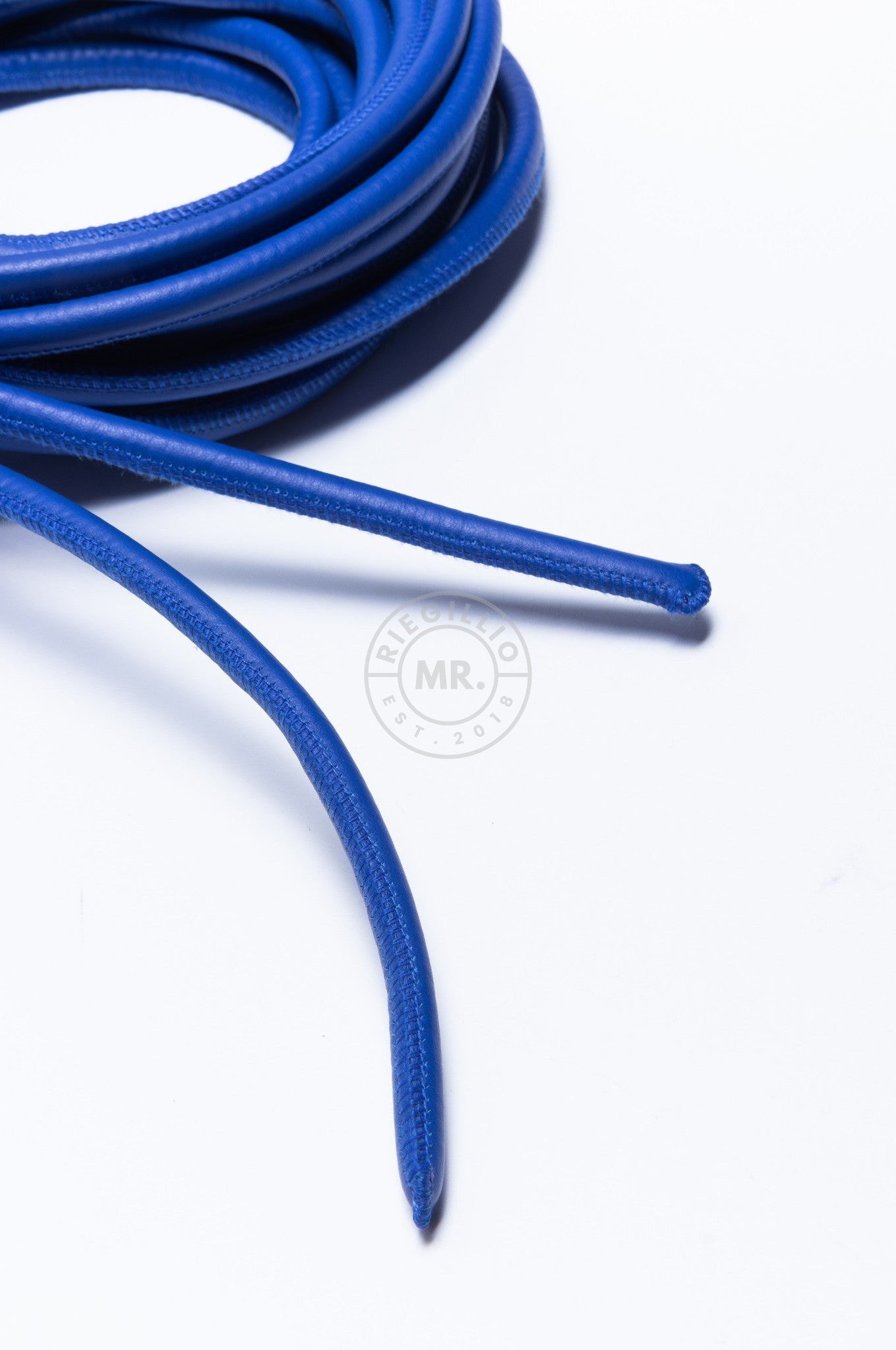 SIRAINER Blue Leather Shibari Rope at MR. Riegillio